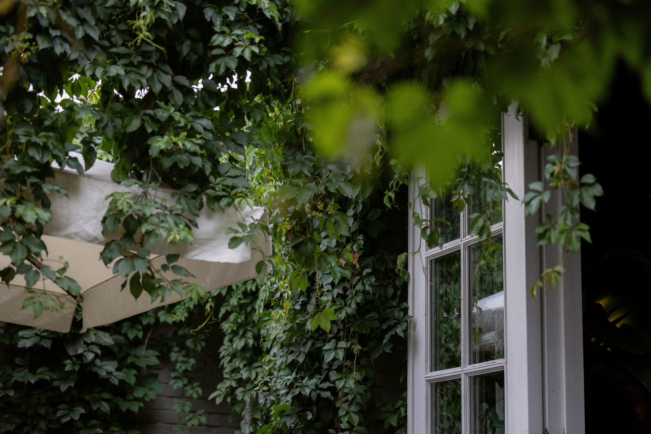 Vlad & Kate. Оформление свадеб, декор свадеб Вера Маркова, Москва