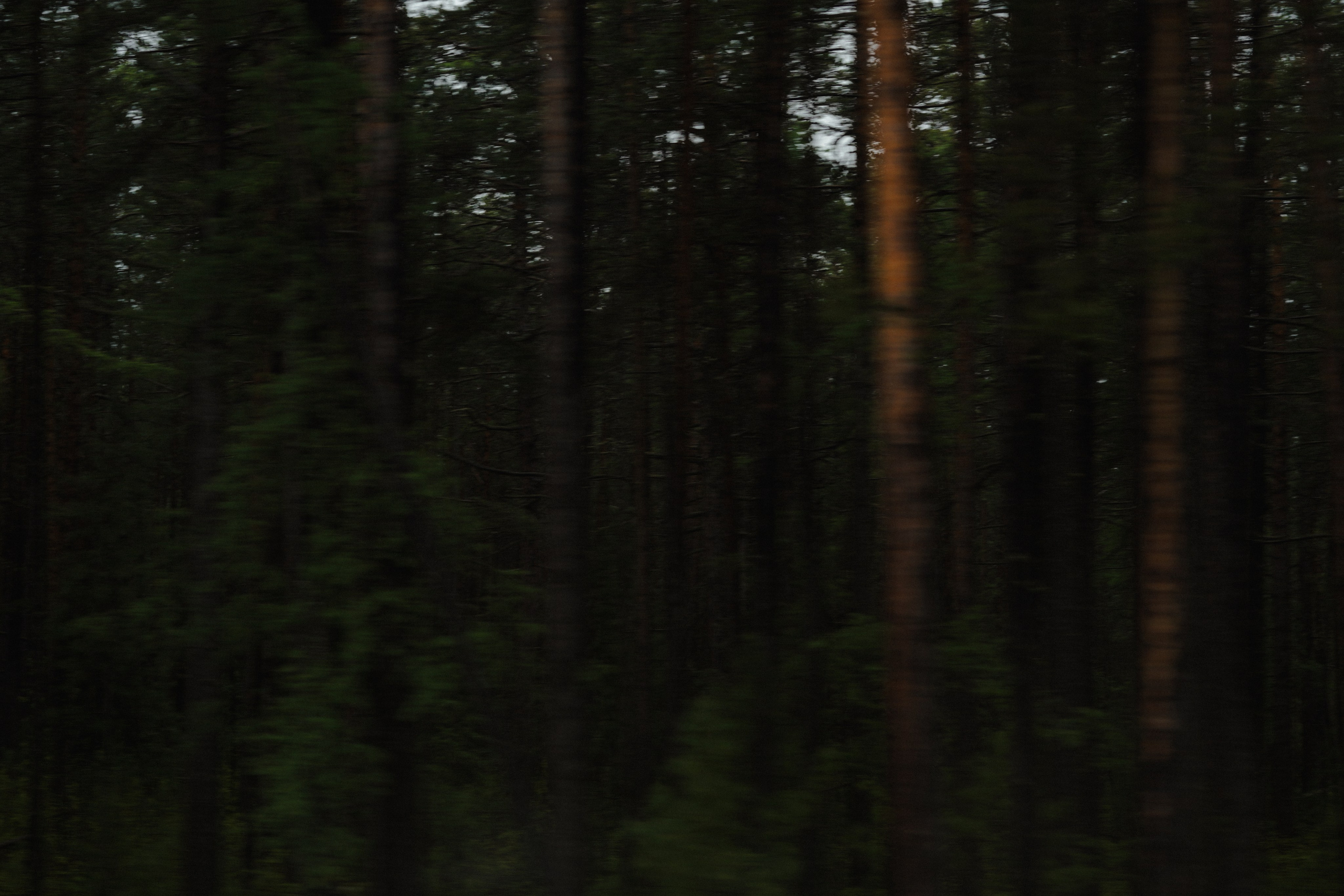 BAIKAL 06|24. Фотограф Виктория Виноградова