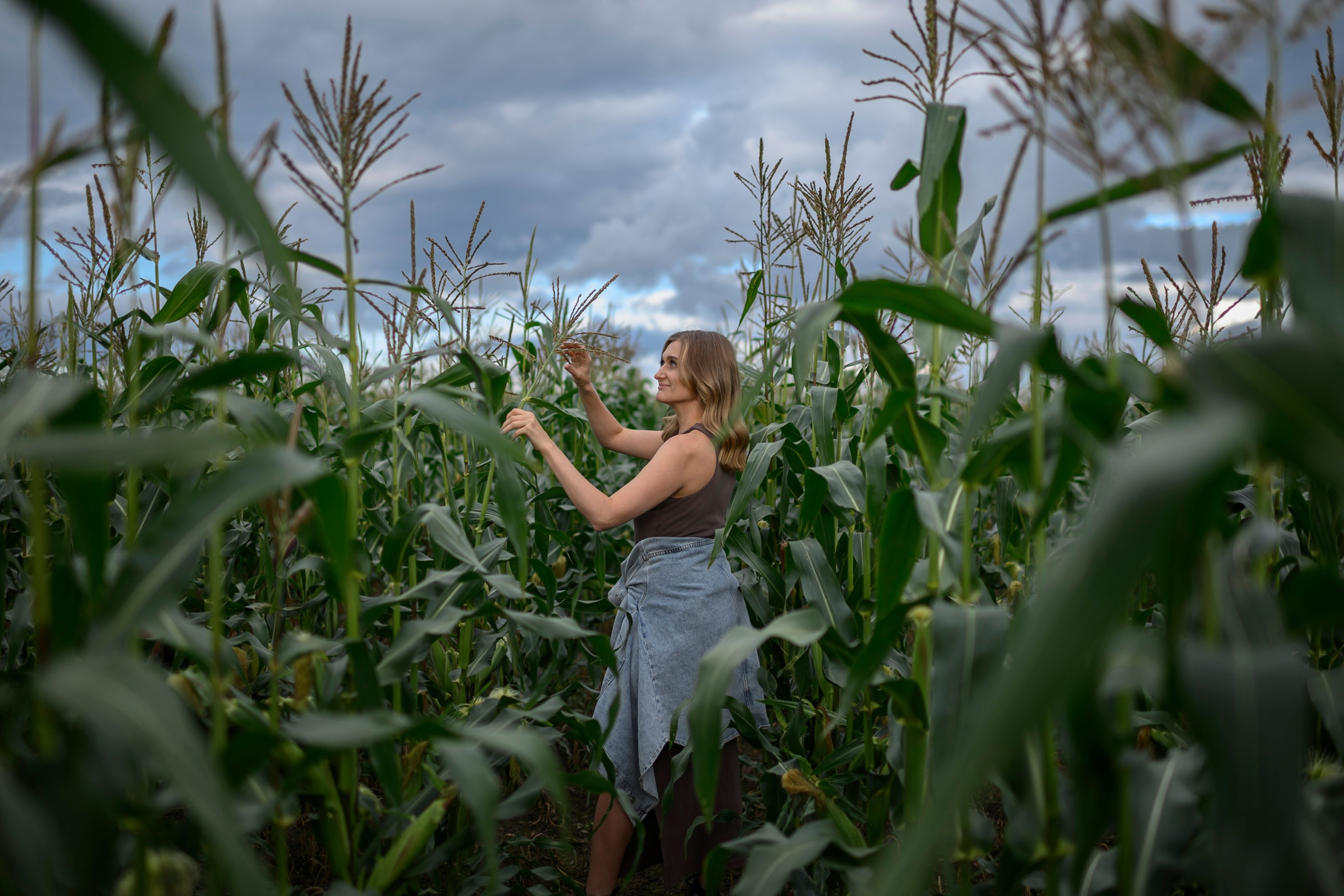 КУКУРУЗА. Семейный фотограф Екатеринбург Лора Мур