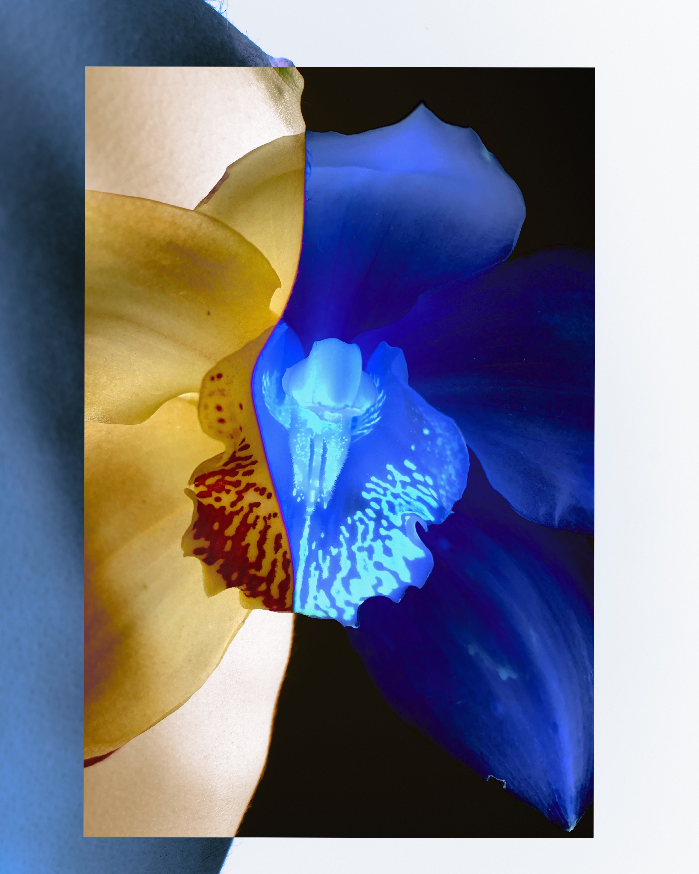 FIGUR. Контент-креатор Паша Норицын