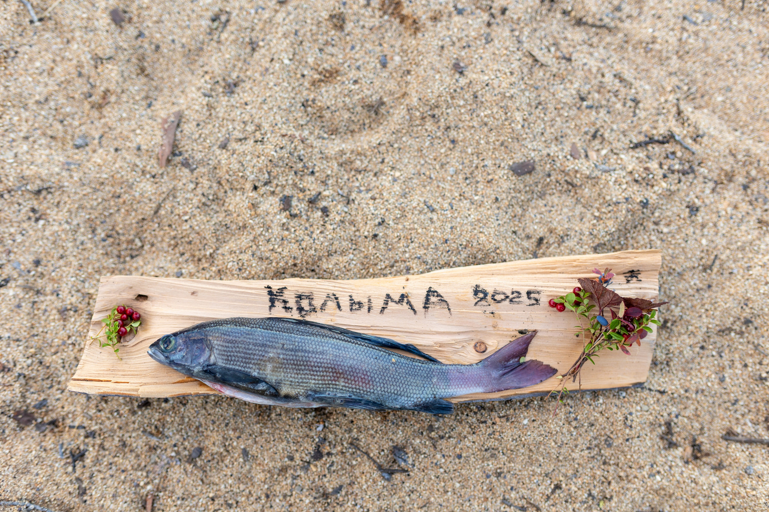 Озеро Джека Лондона. Тревел-фотограф Олег Гуров