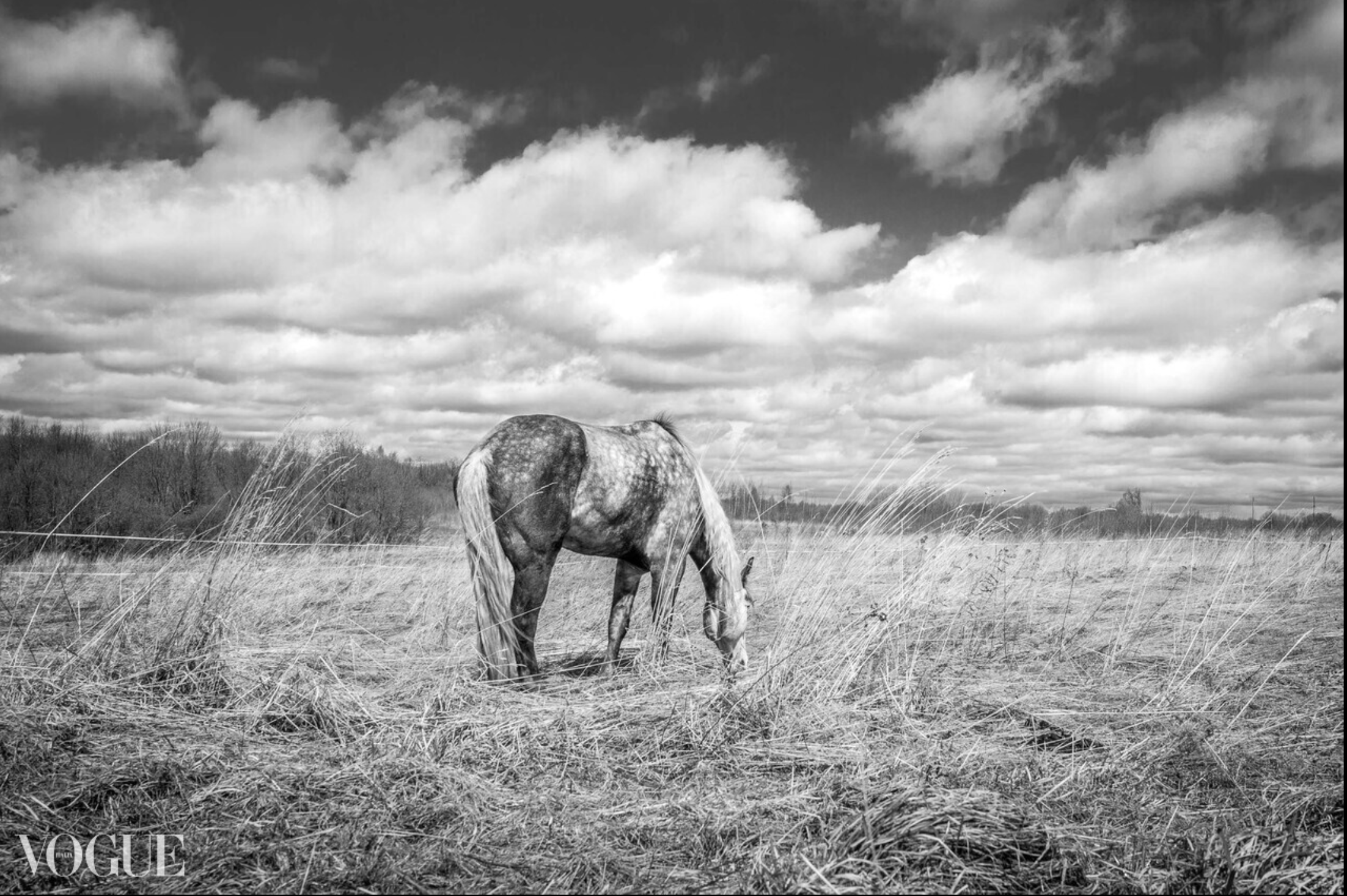 Коллекция фотографий для Vogue от Екатерины Егоровой в Москва. Семейный фотограф в Москве Екатерина Егорова