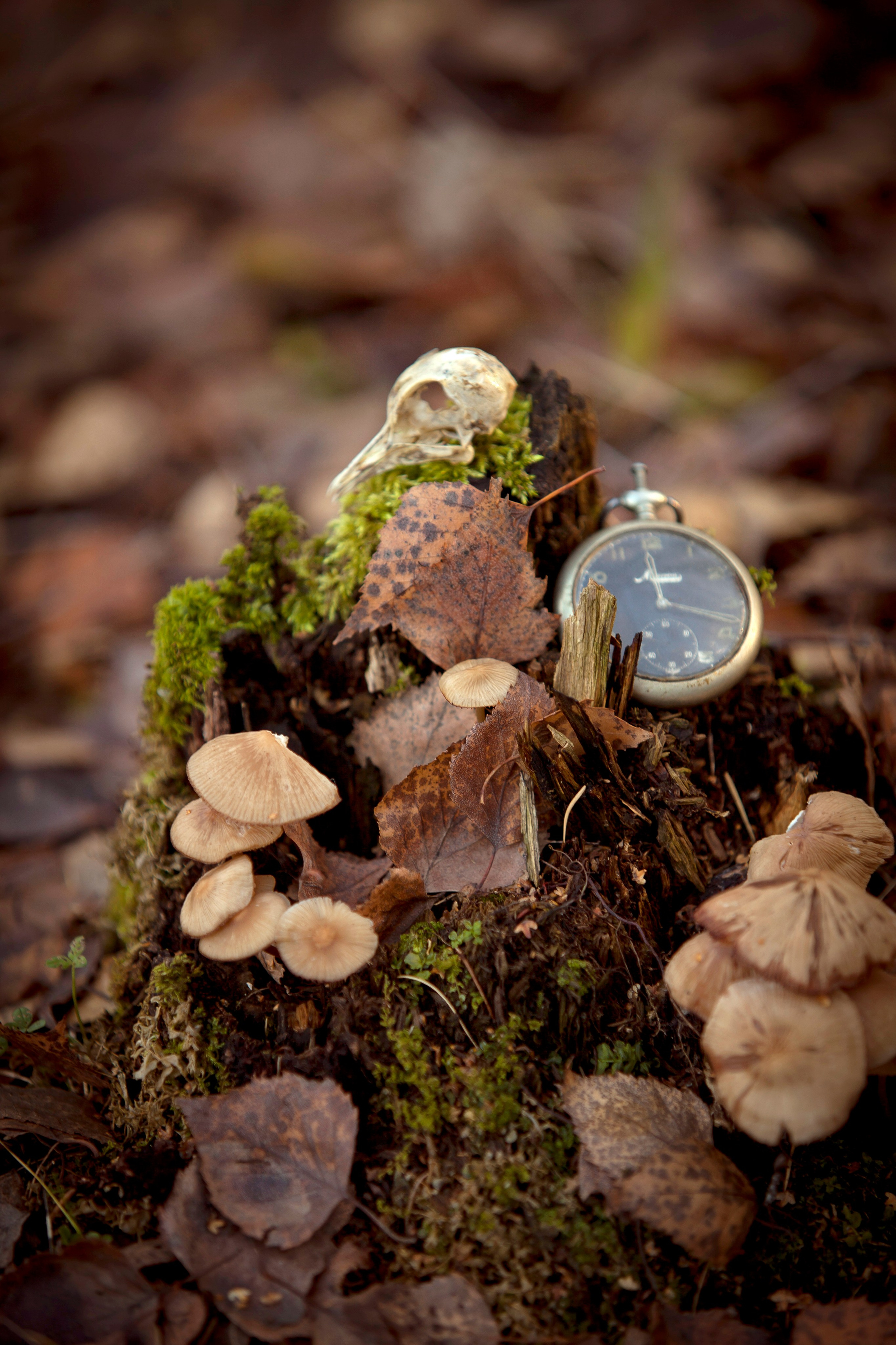 Witch. Фотограф Мария Кольцова