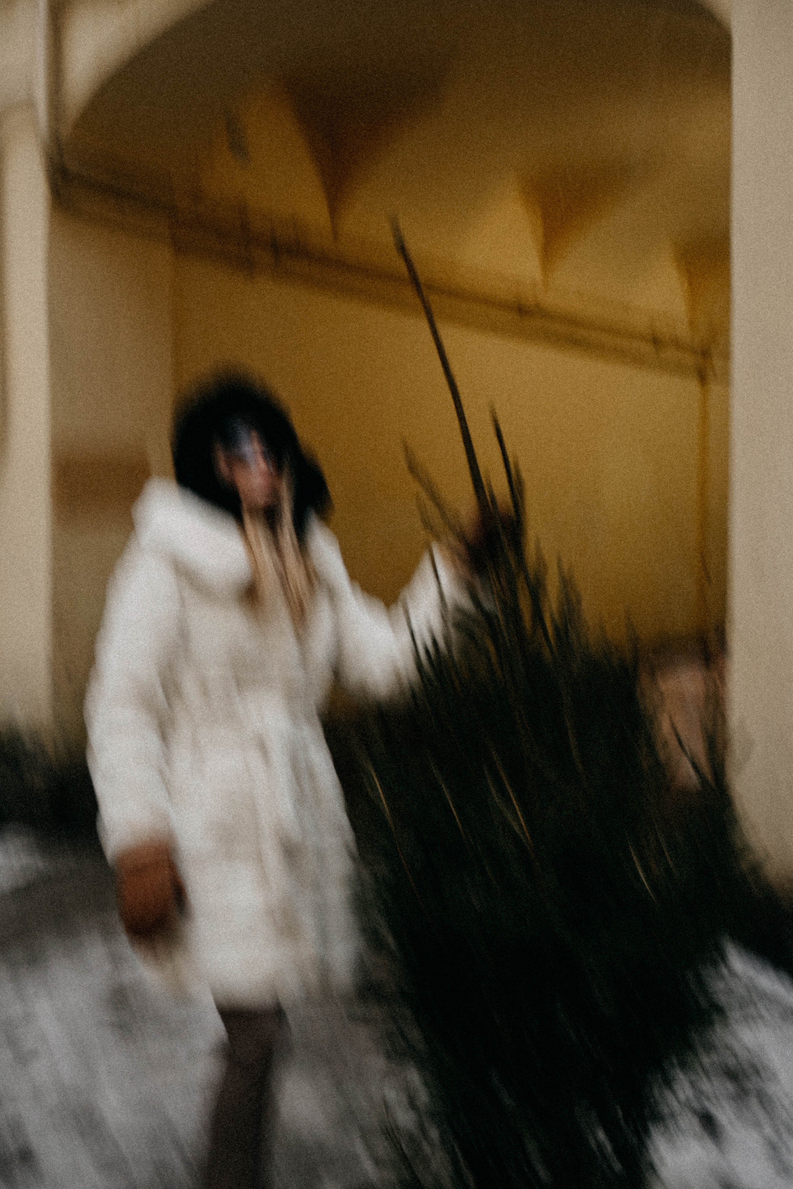 Новогодняя. Профессиональный фотограф, Санкт-Петербург — Виктория Богомолова