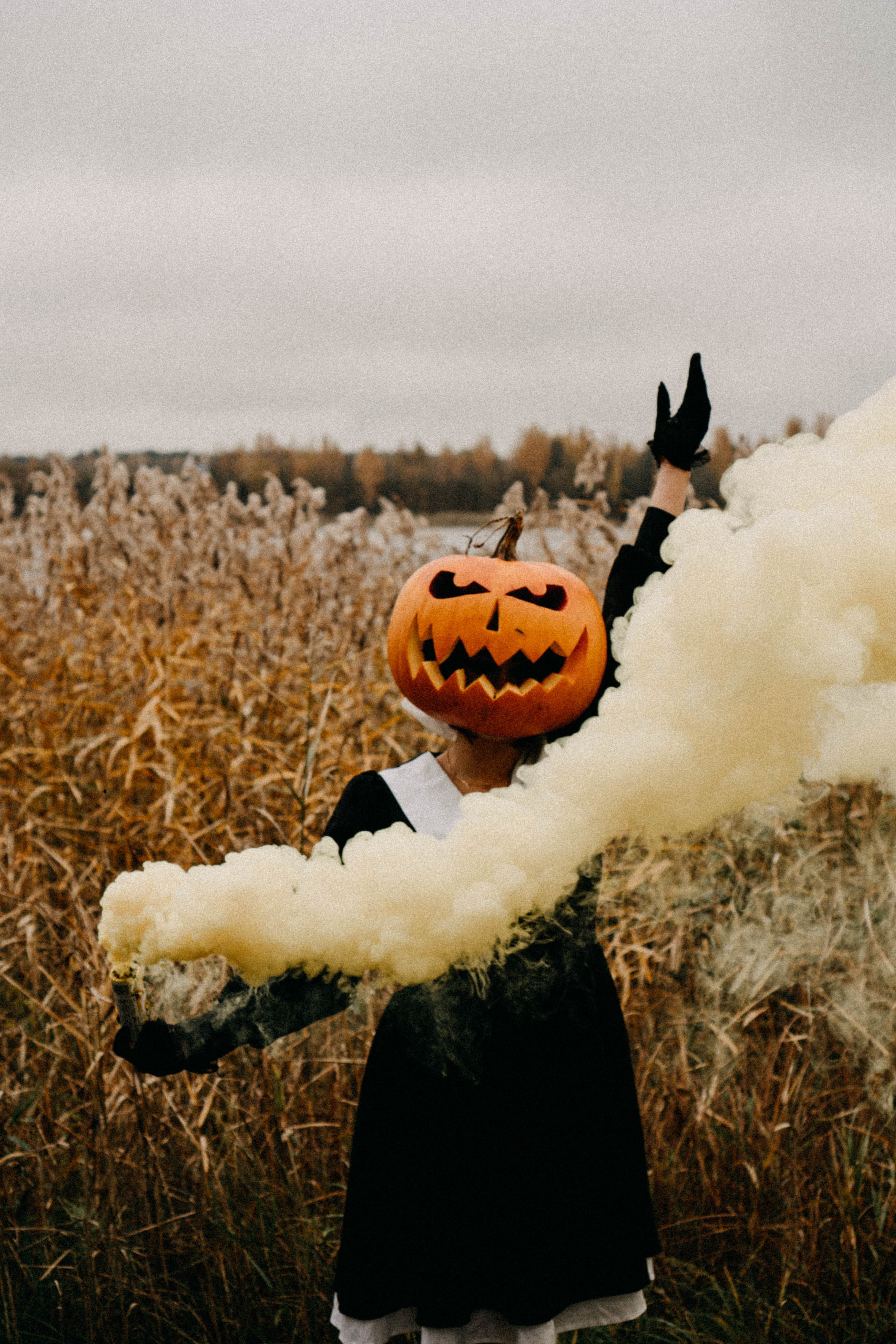 Осеняя. Профессиональный фотограф, Санкт-Петербург — Виктория Богомолова