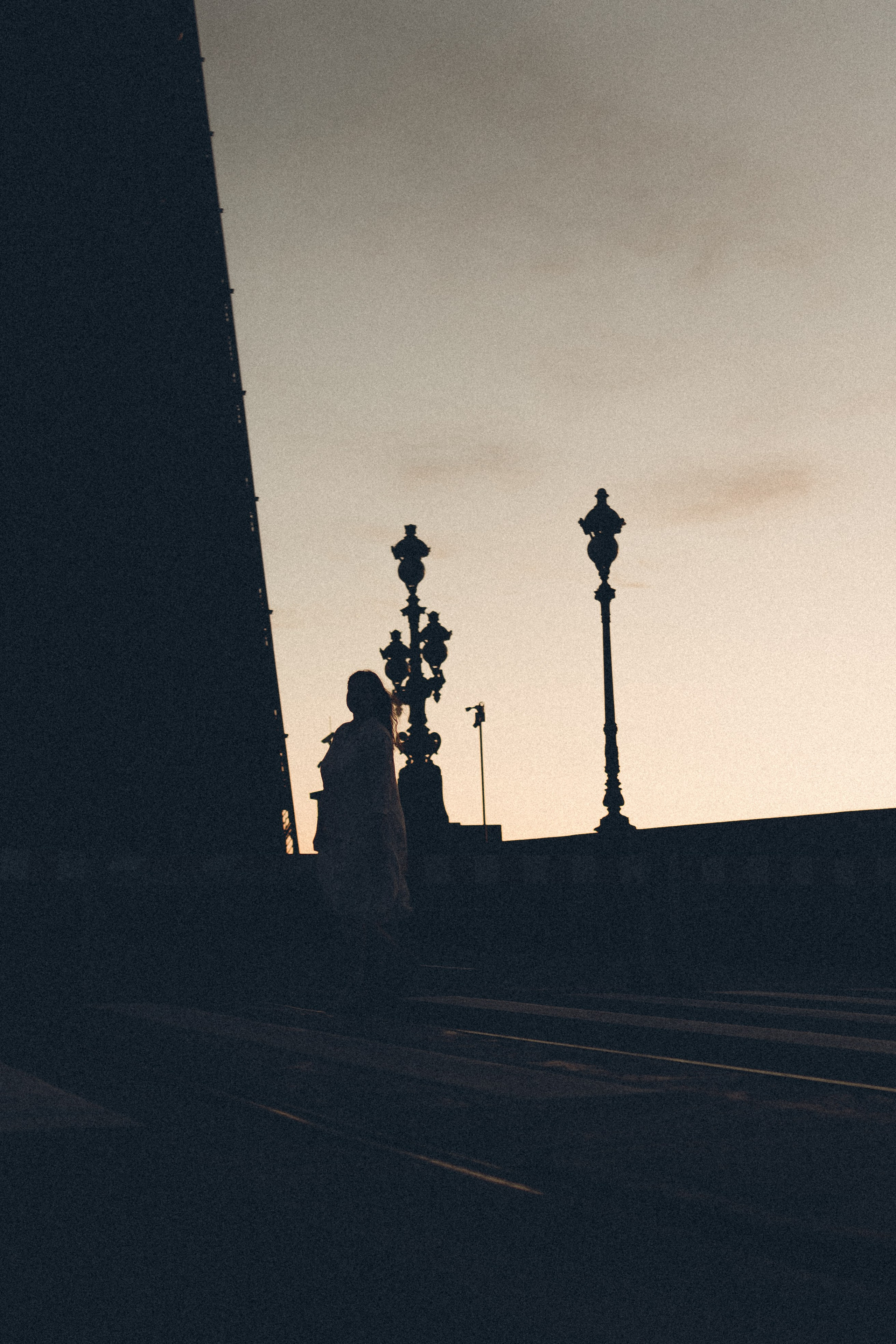 РАССВЕТ С РАЗВОДНЫМИ МОСТАМИ. Профессиональный фотограф, Санкт-Петербург — Виктория Богомолова