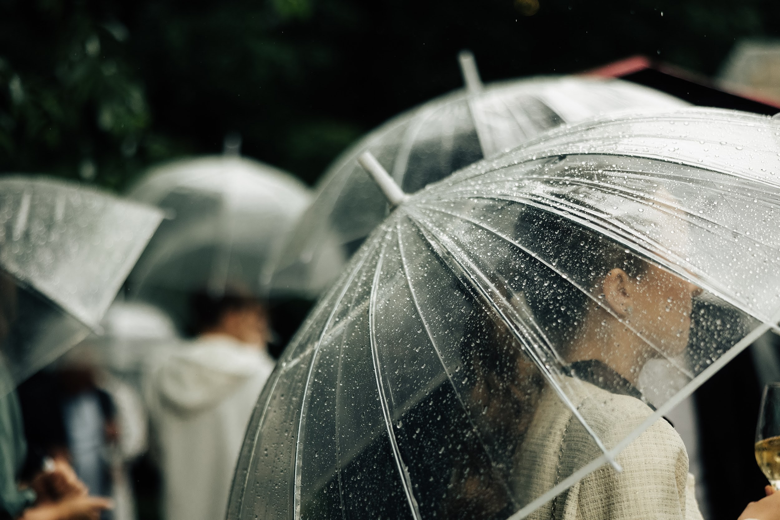 21.06.25 Михаил и Мария. Свадебный организатор Екатеринбург