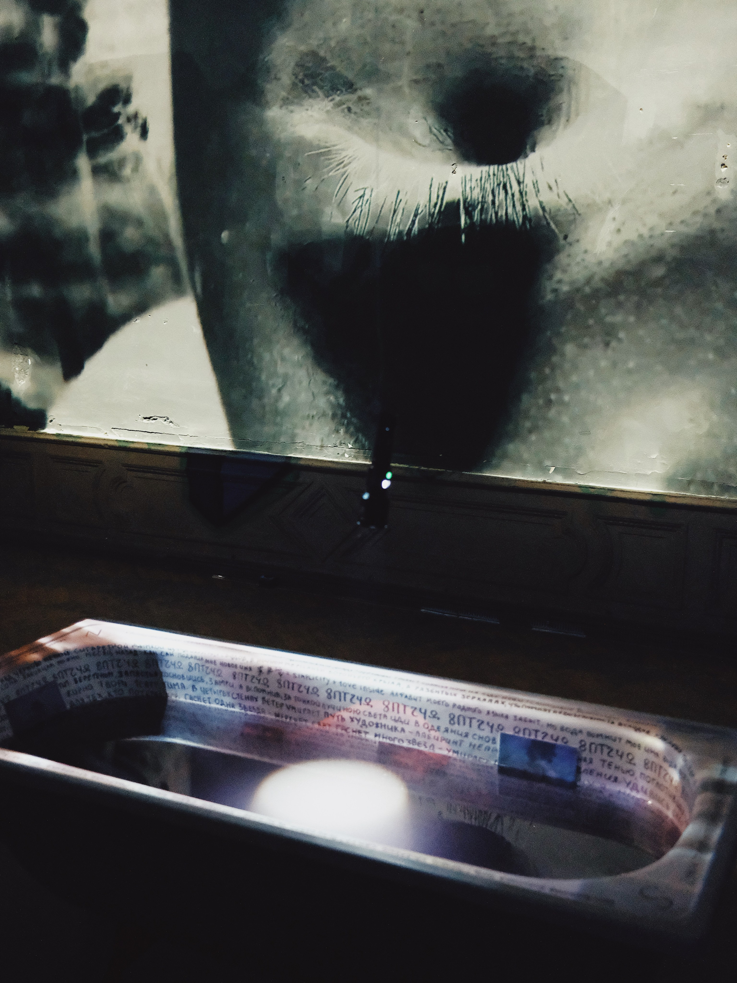 Inside Out (2024). Междисциплинарный художник и режиссер София Меликова