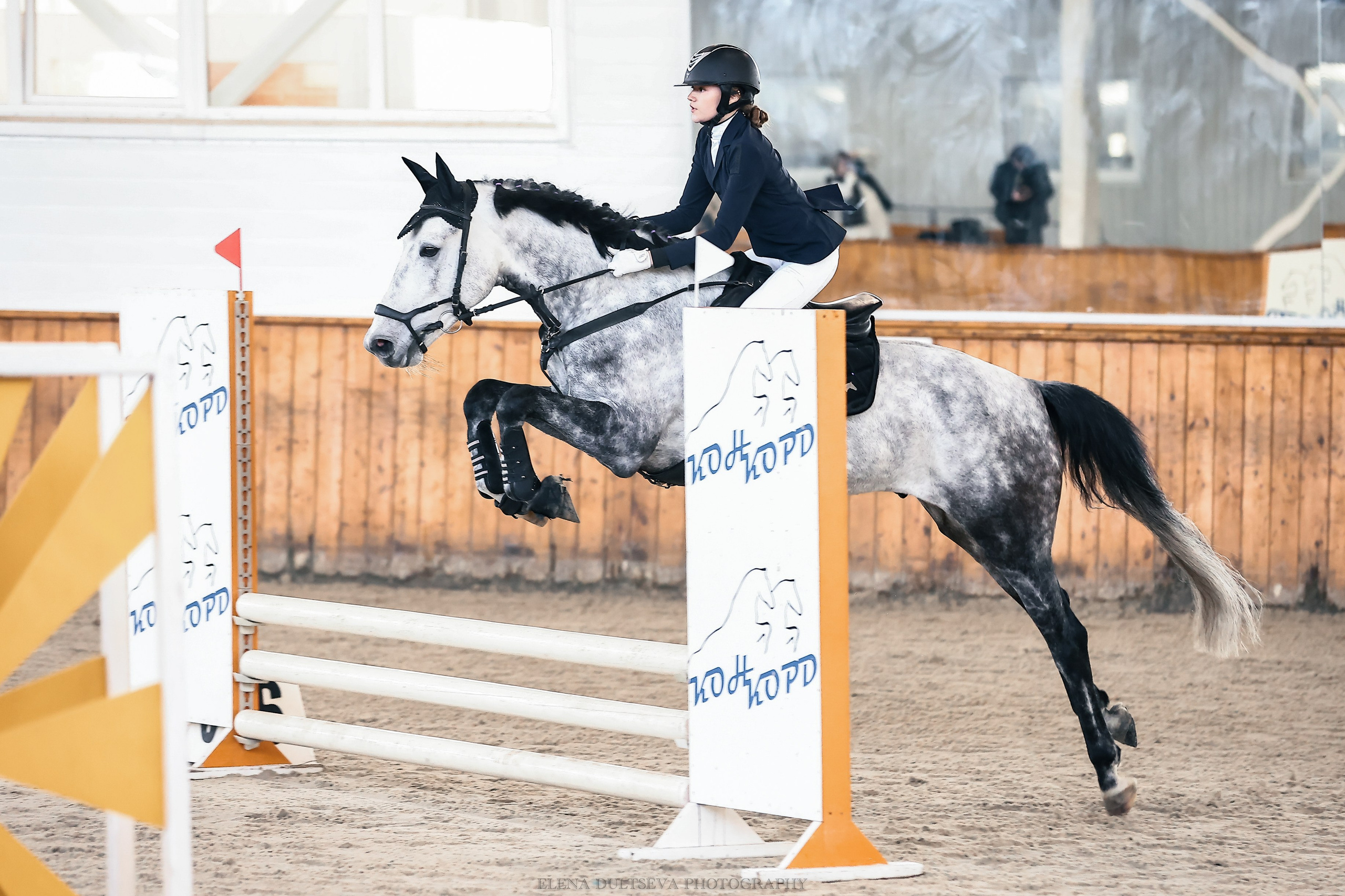 ТЕСТ 1. Конный фотограф Елена Дульцева