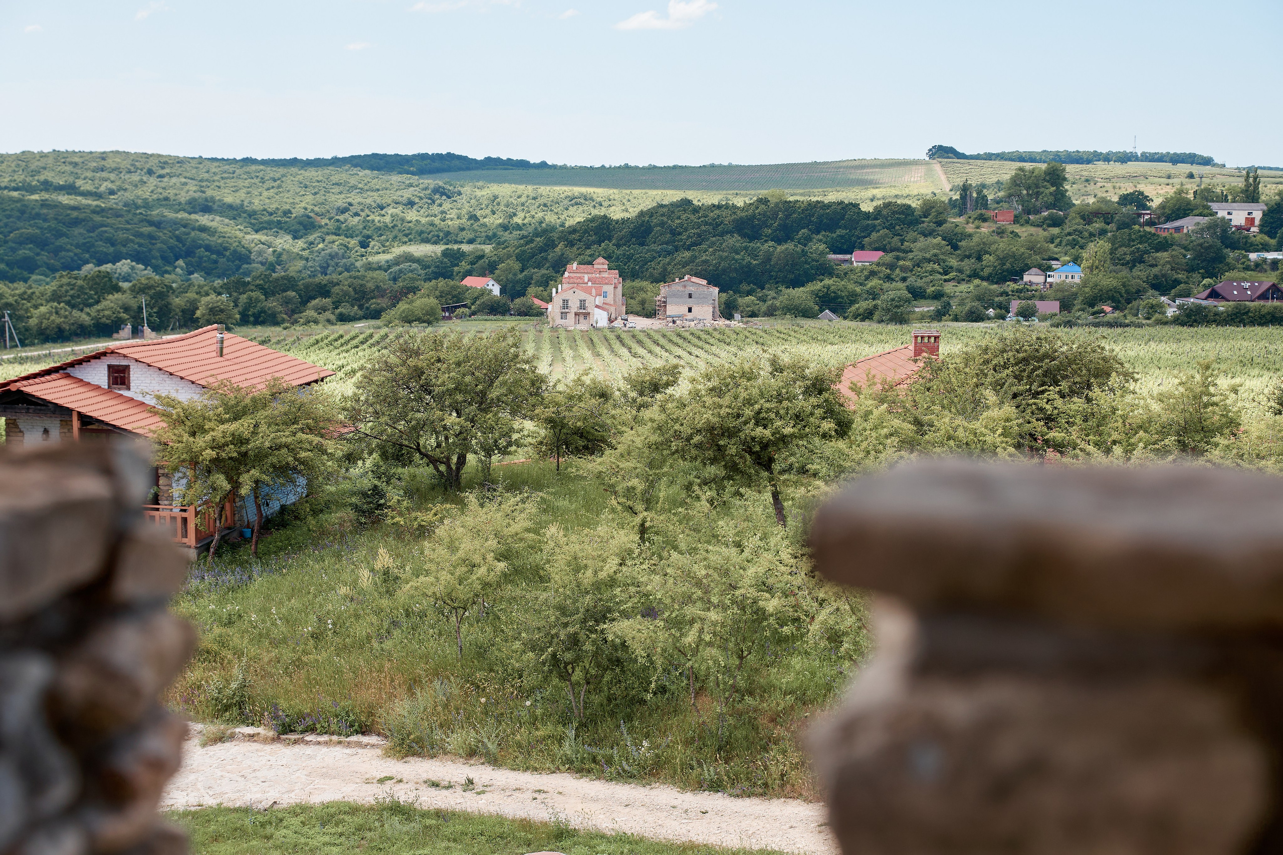 ОДНА ВИНОДЕЛЬНЯ. Репортажный и мужской фотограф в Краснодаре. Фотограф в Краснодаре