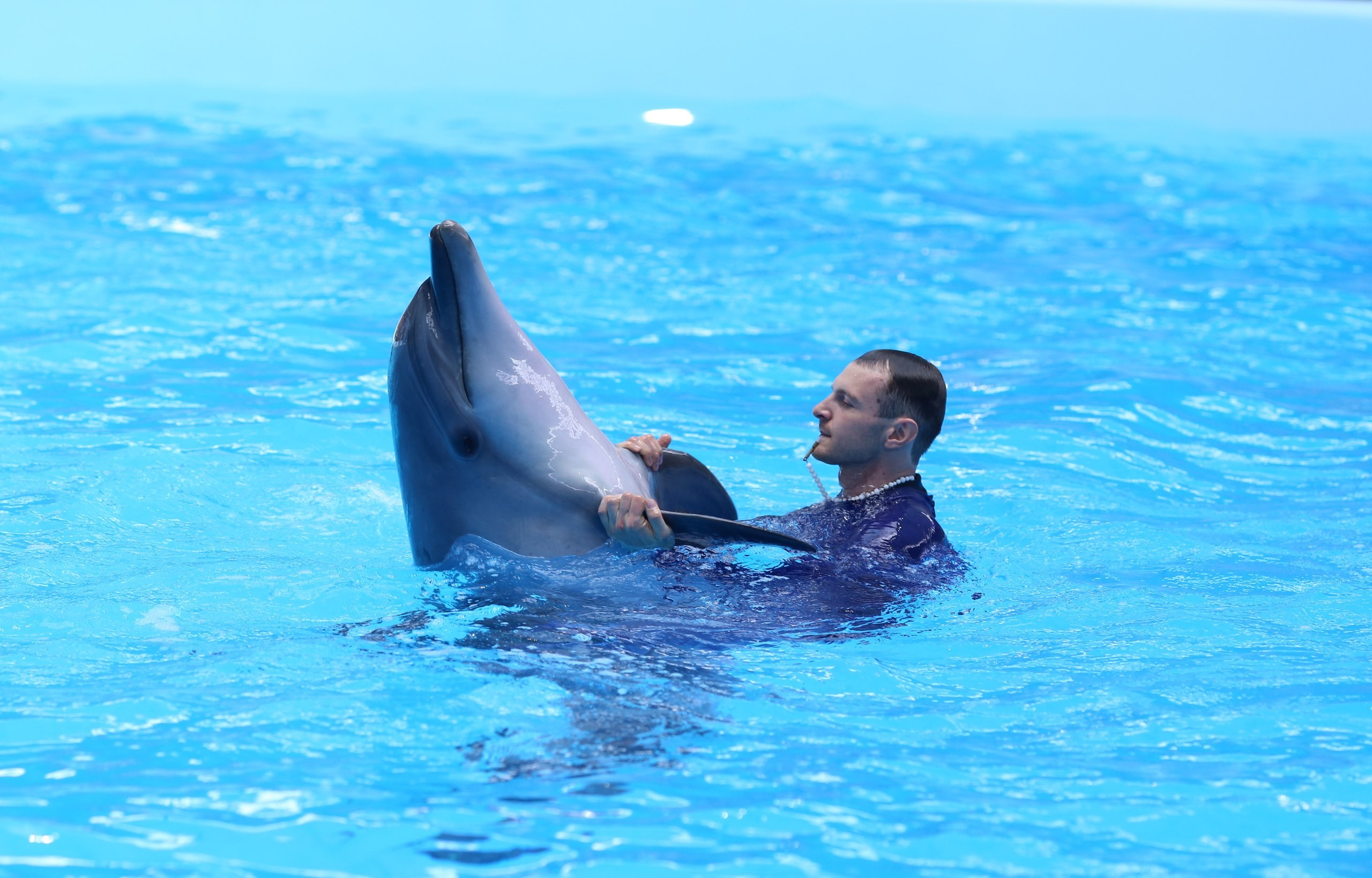 Тренер новосибирского дельфинария с дельфином, репортажный фотограф Новосибирск