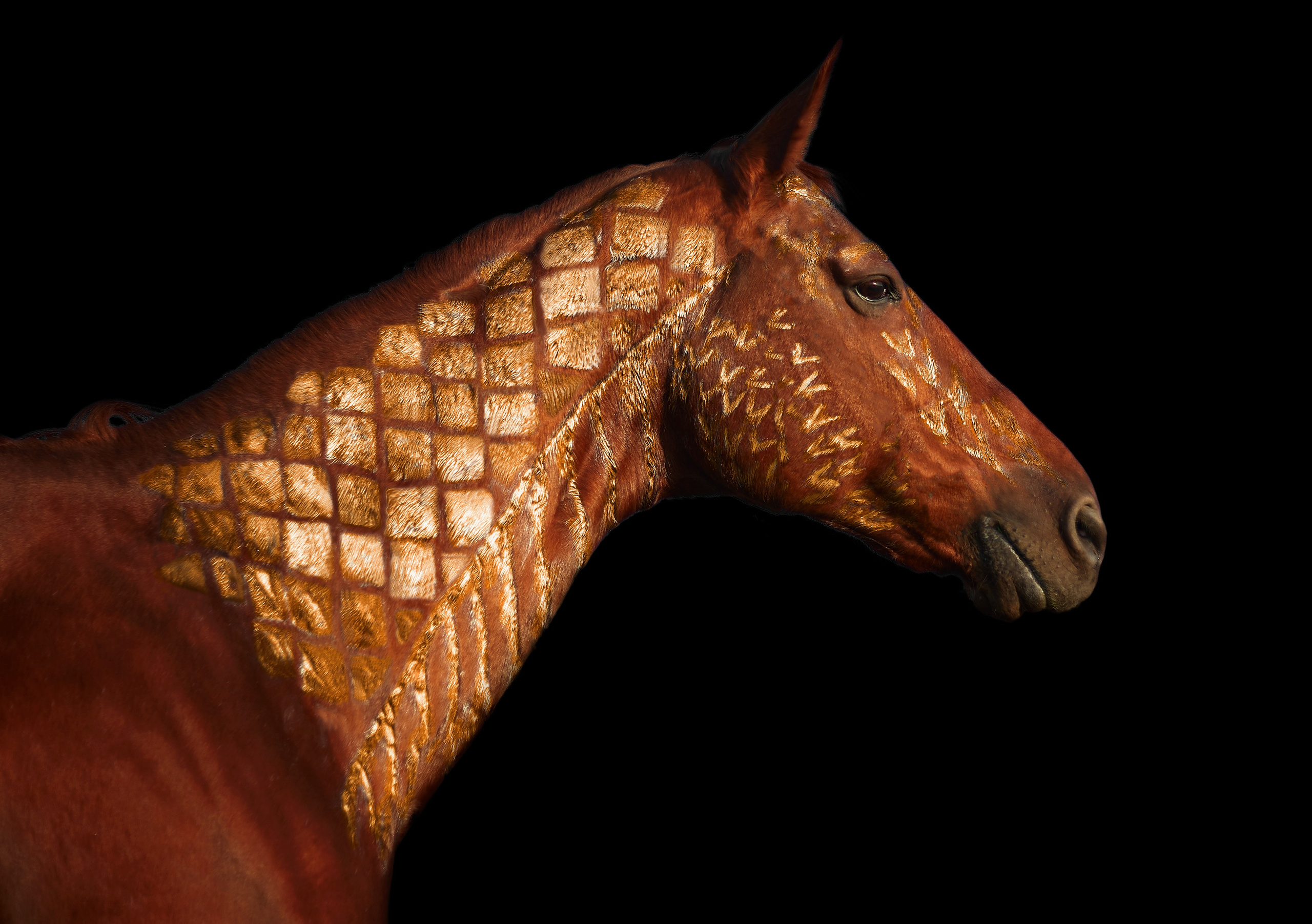 Комфортная. Фотограф в Севастополе