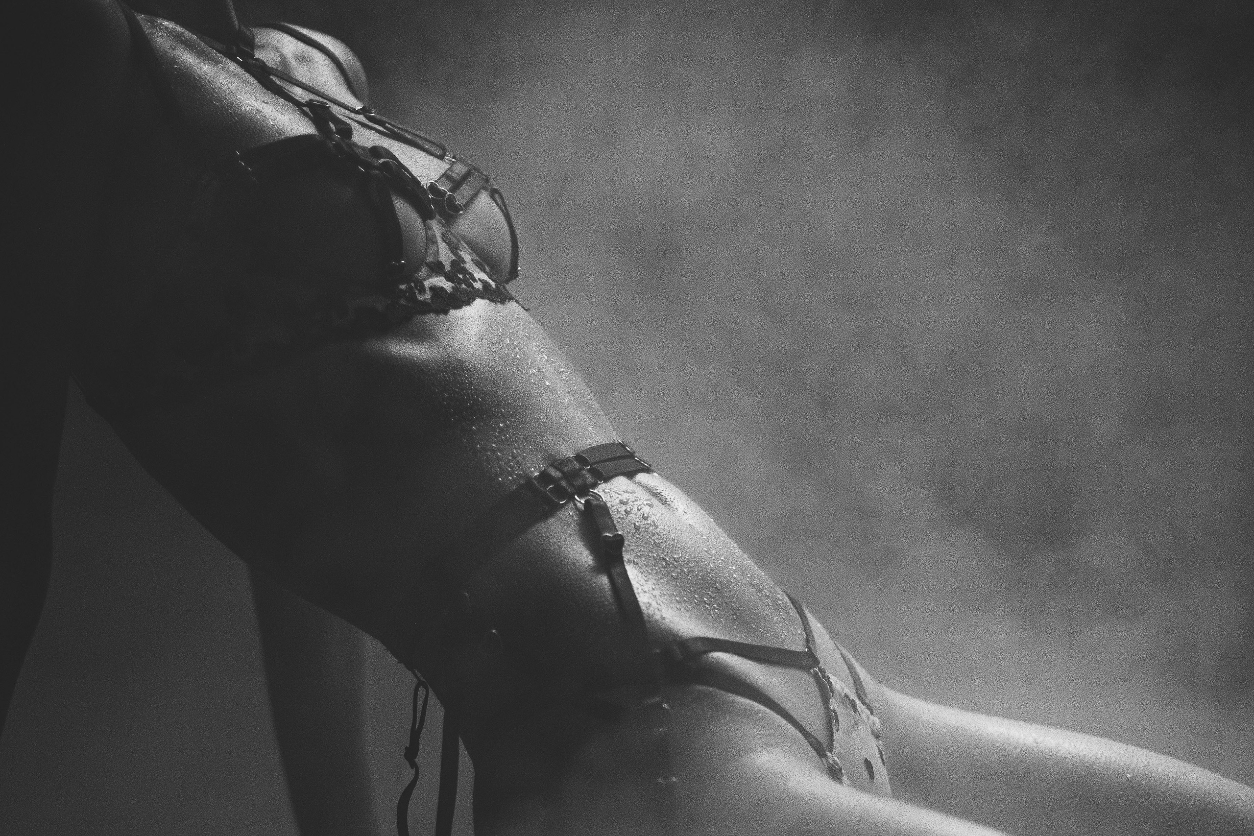 Ласточка. Фотограф Шейдаев Эмин г. Волгоград