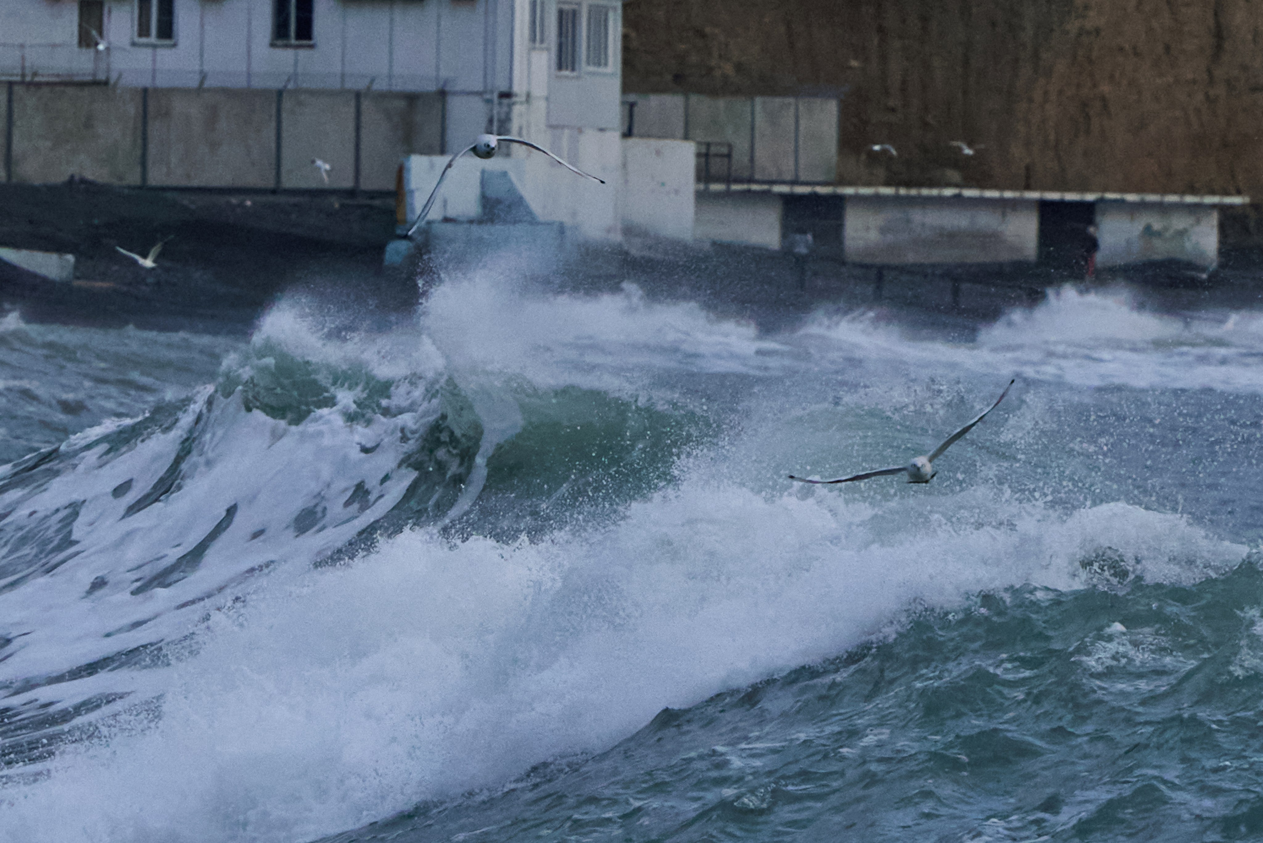 Фотографии улиц и пляжей Анапы. Профессиональный фотограф в Анапе Артем Ковальский