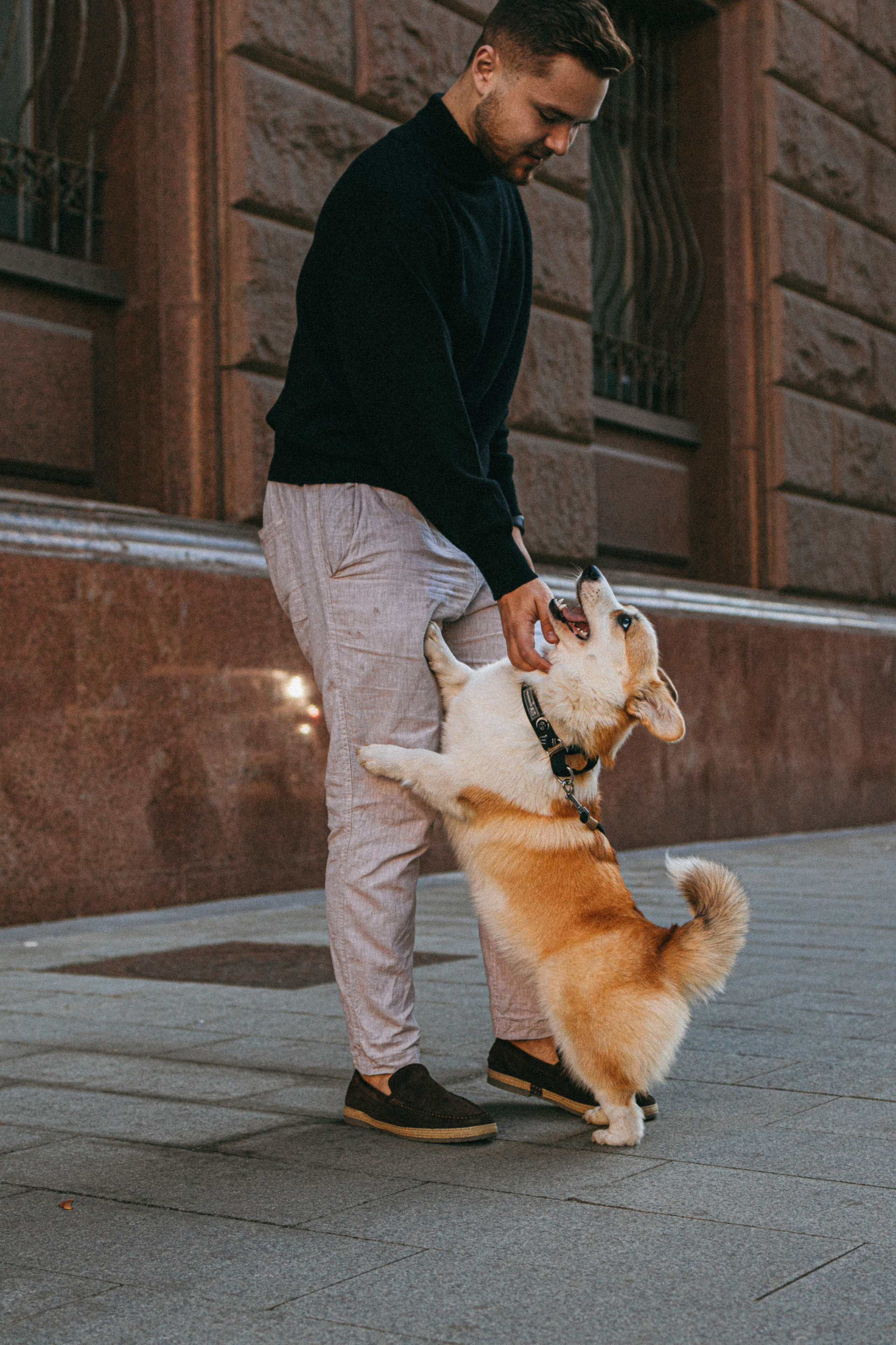 Даша, Рома и Лесли. Фотораф — анималист Мария Шистка