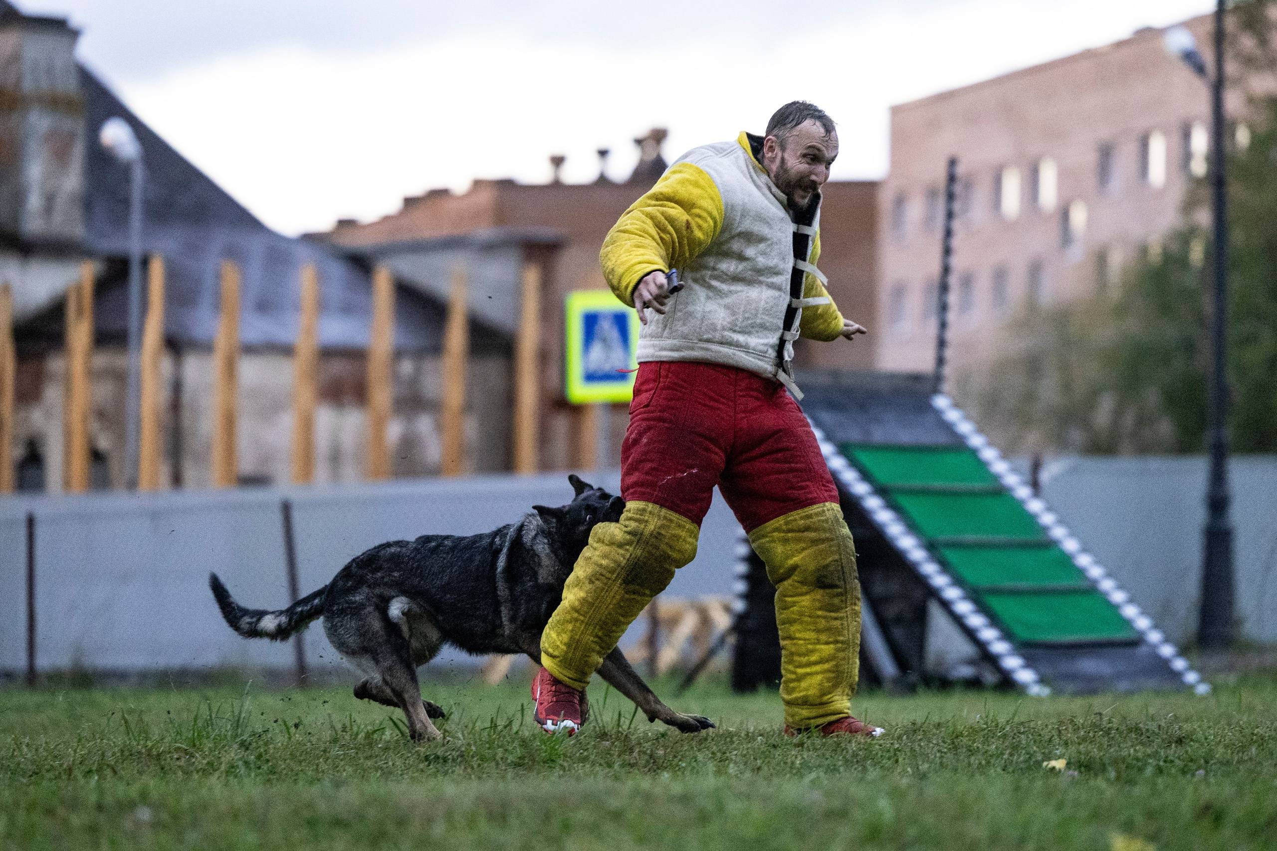 Испытания по Мондьорингу г. Пушкин. Фотограф-анималист Анна Маринич