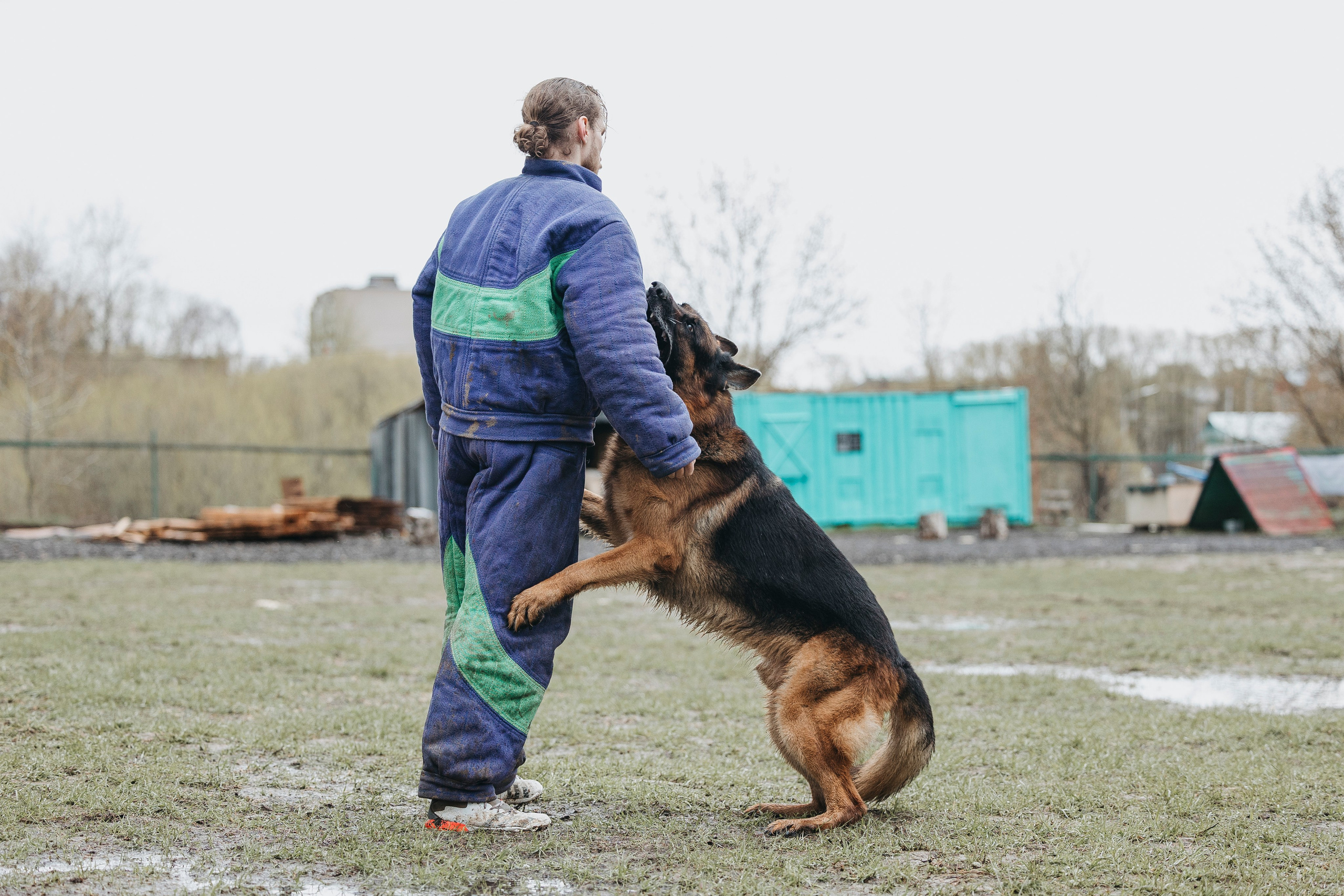 09.05.25 Вологда соревнования. Фотограф-анималист Анна Маринич