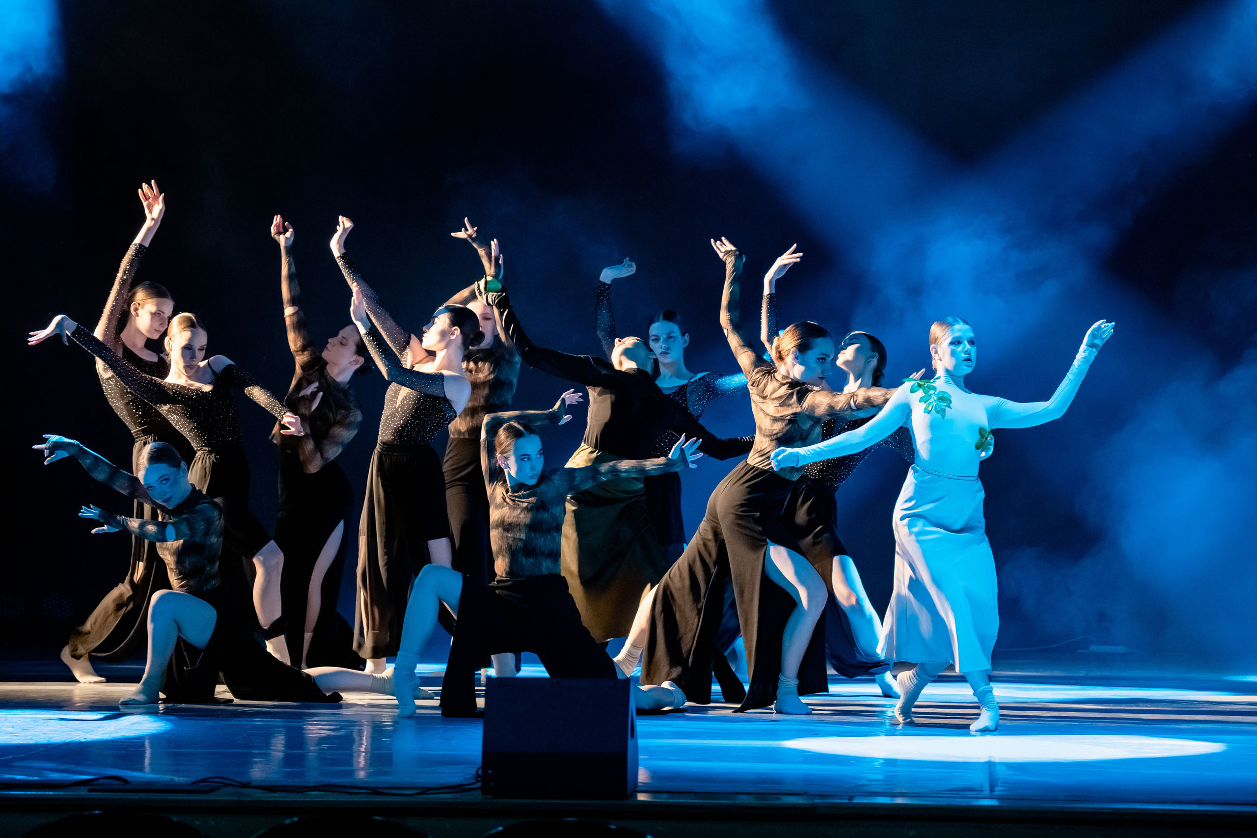 Концерты/Артисты. Репортажный фотограф в Краснодаре Лагута Надежда