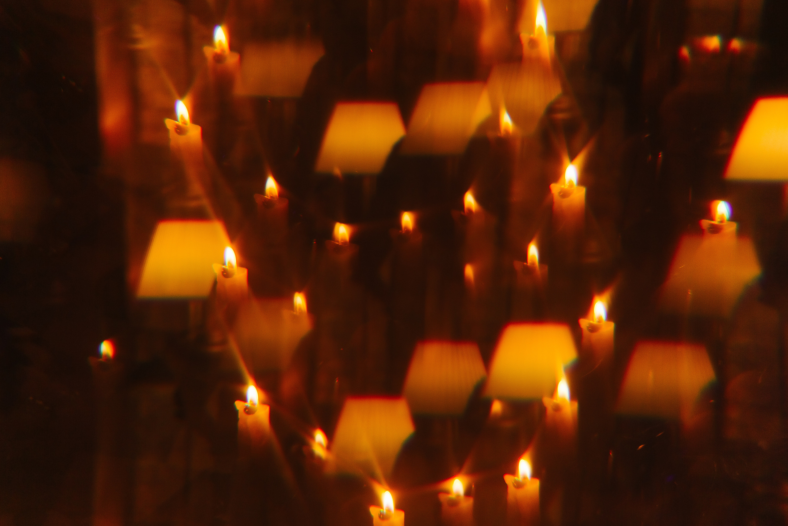 Банкет камерный. Фотограф в Красноярске Любовь Малеева