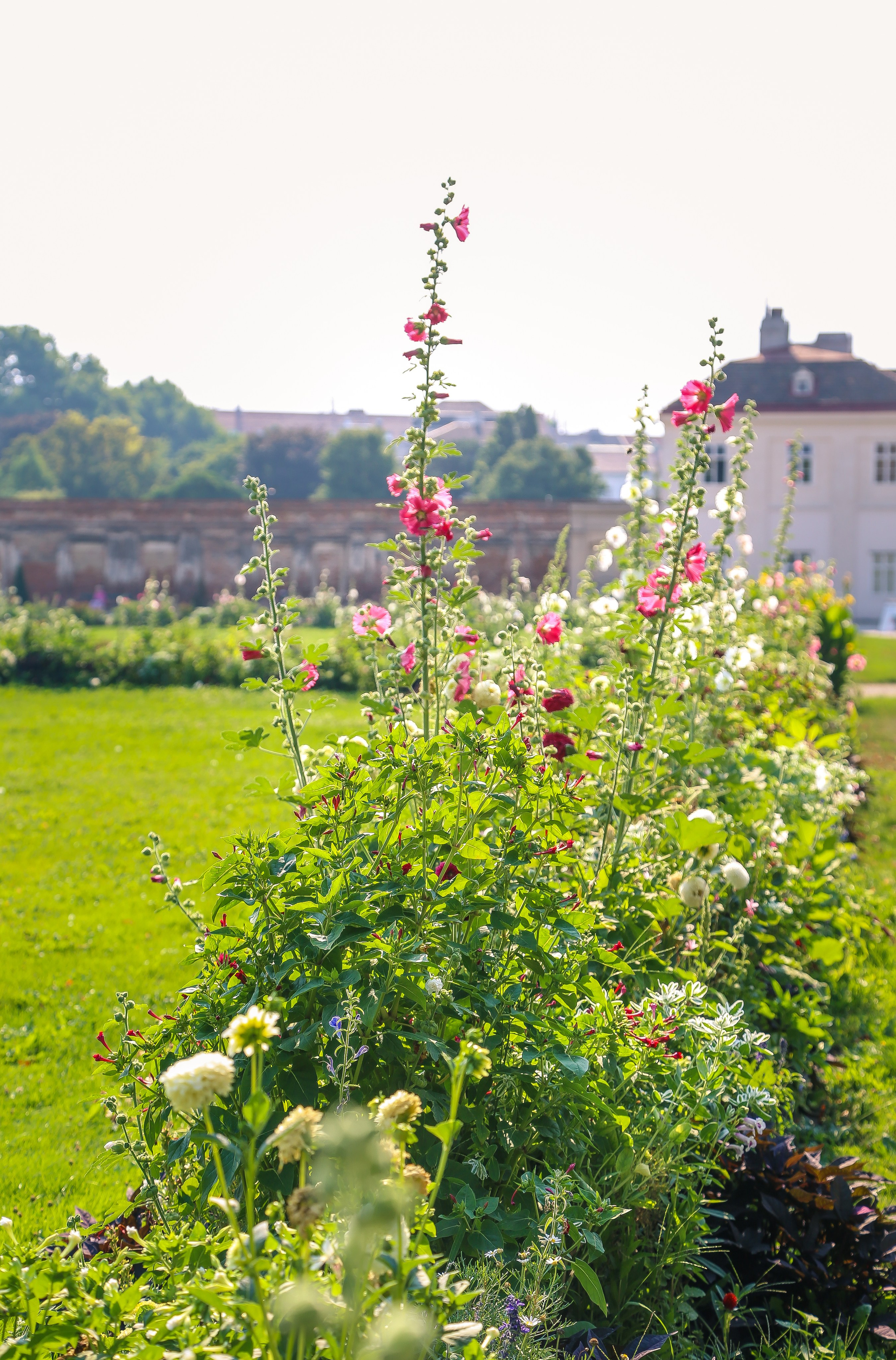 Австрия: Вена — Ратуша и Парламент, Пратер, Аугартен. Дарья Письменюк / Darya Leitstern — фотограф, музыкант, журналист, путешественник