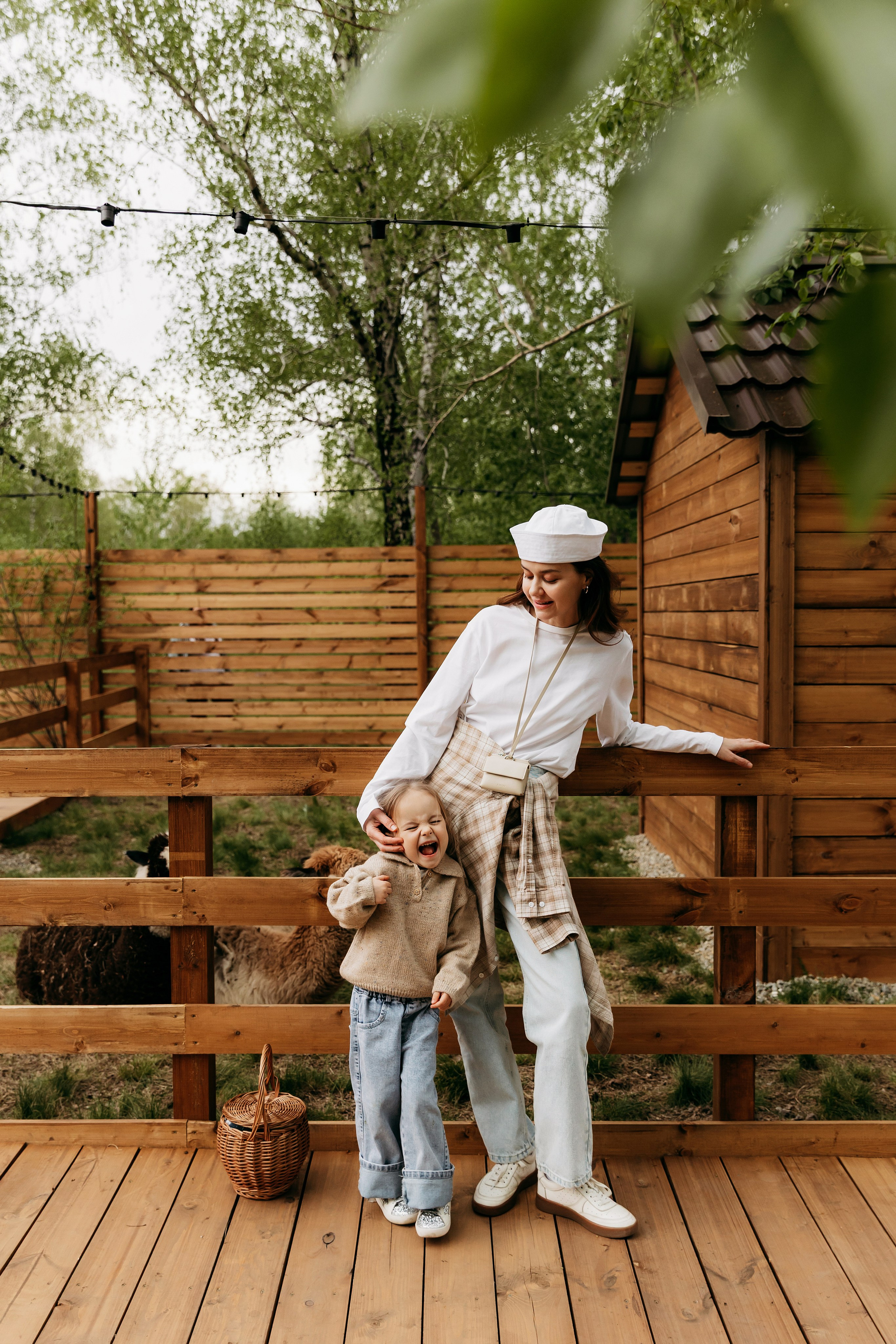 Привет, лама!. Главная