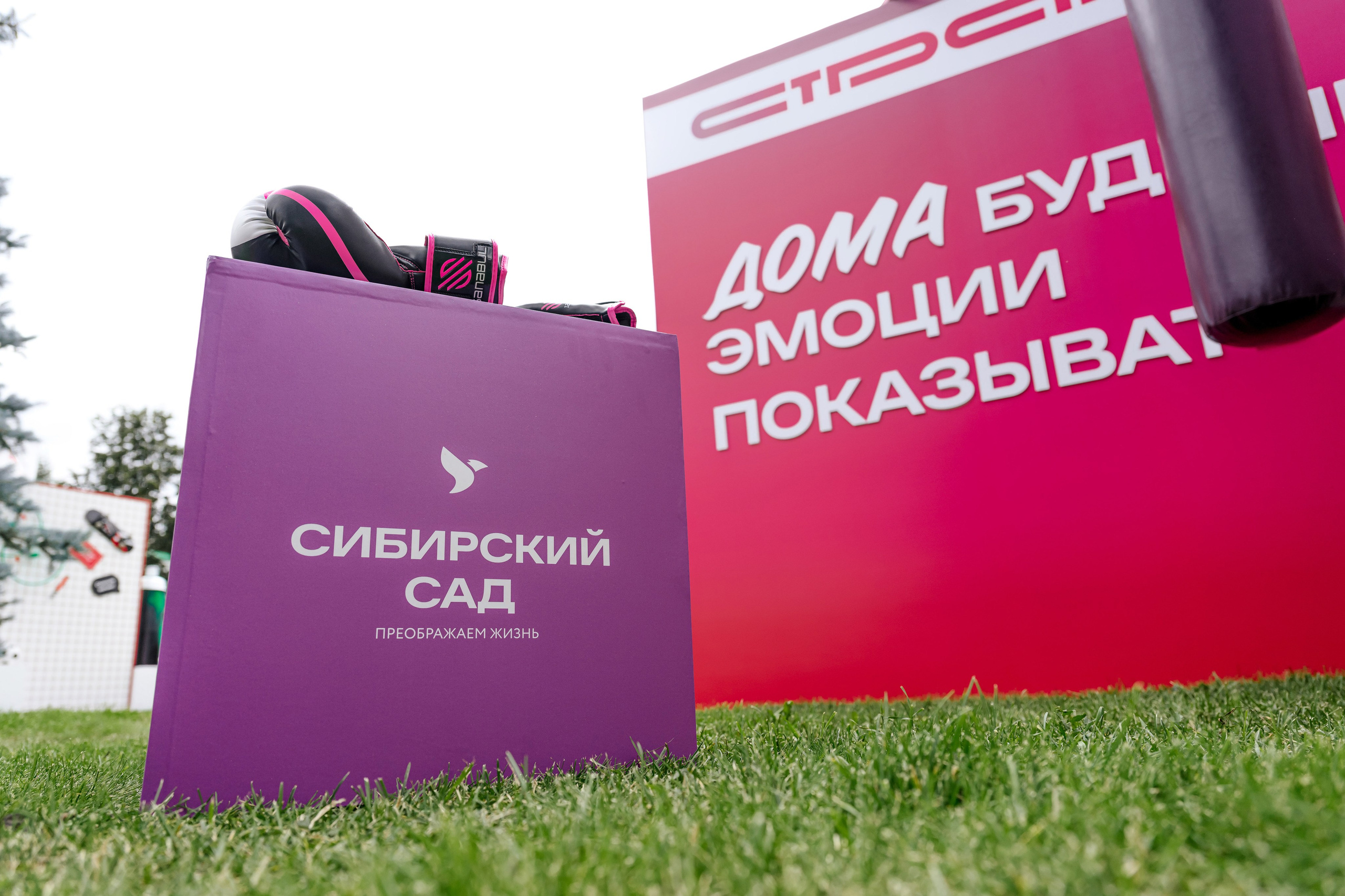 СТРАНА. Максим Комаров — Профессиональный фотограф