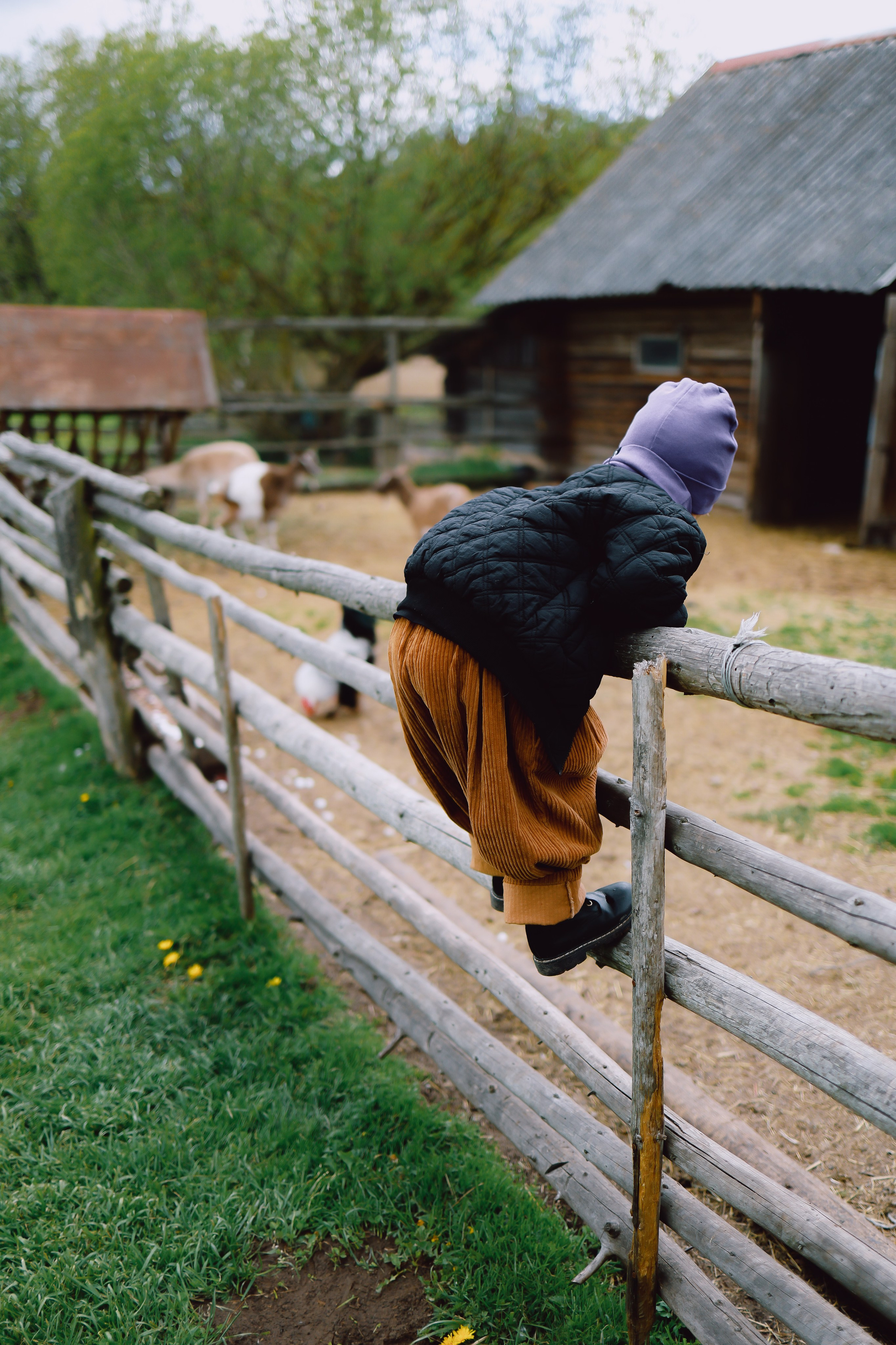Белые Луга. Детский и семейный фотограф Малых Ольга г. Салехард