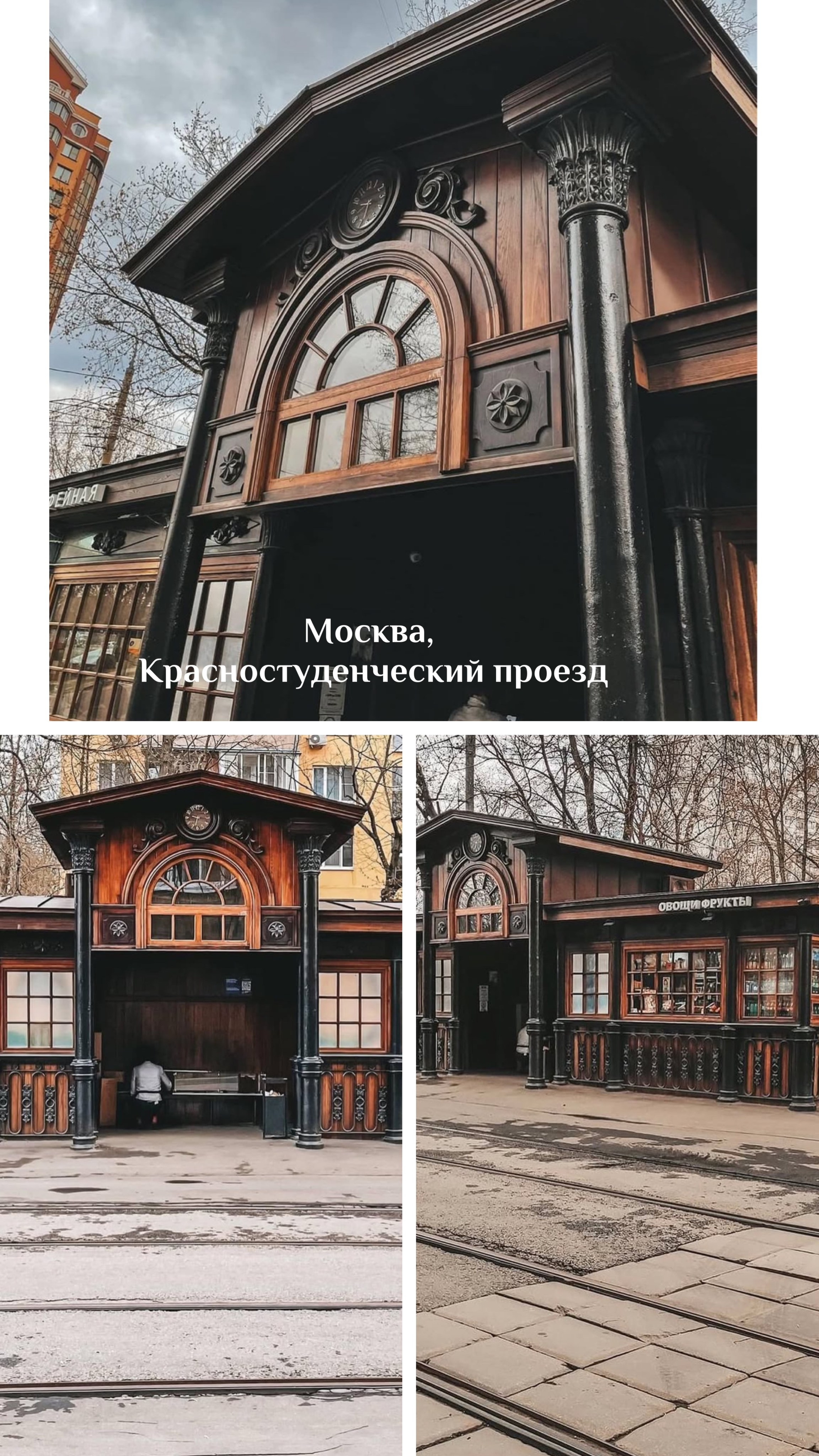 Городские. Фотограф Светлана Мерзлякова