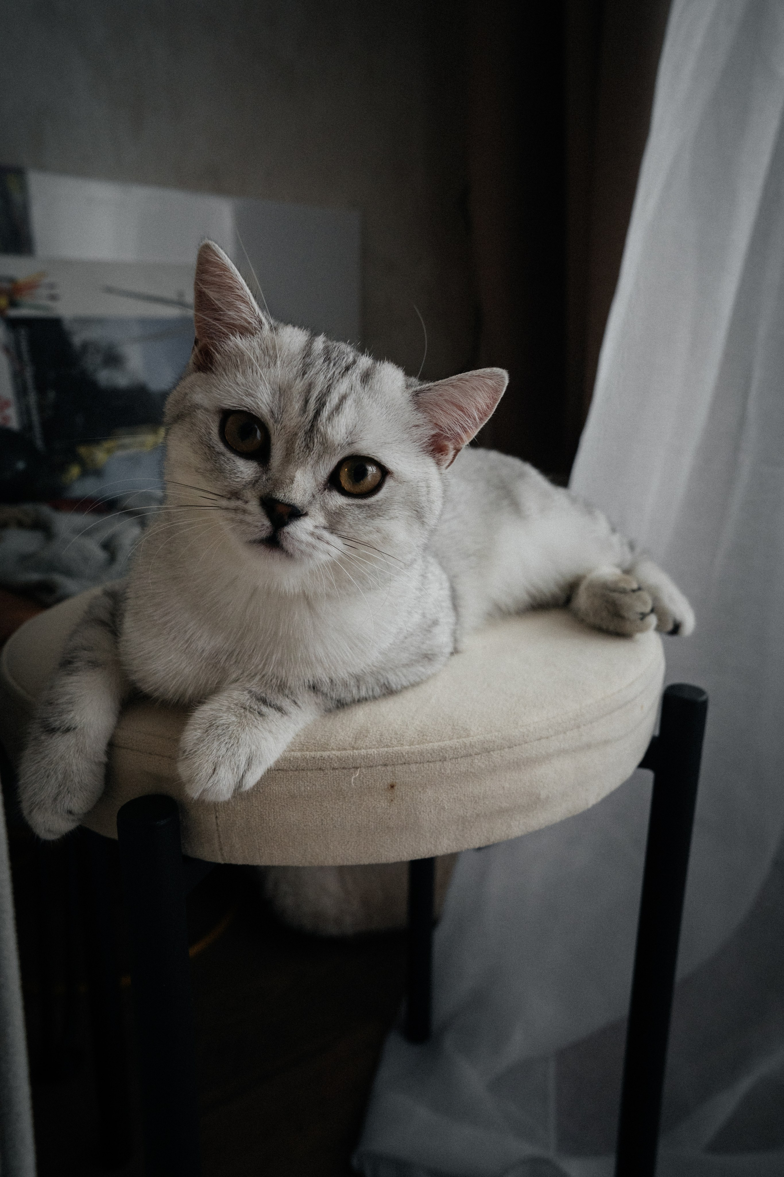 Семья Ксении и Максима. Фотограф | Юлия Арт| Обучение