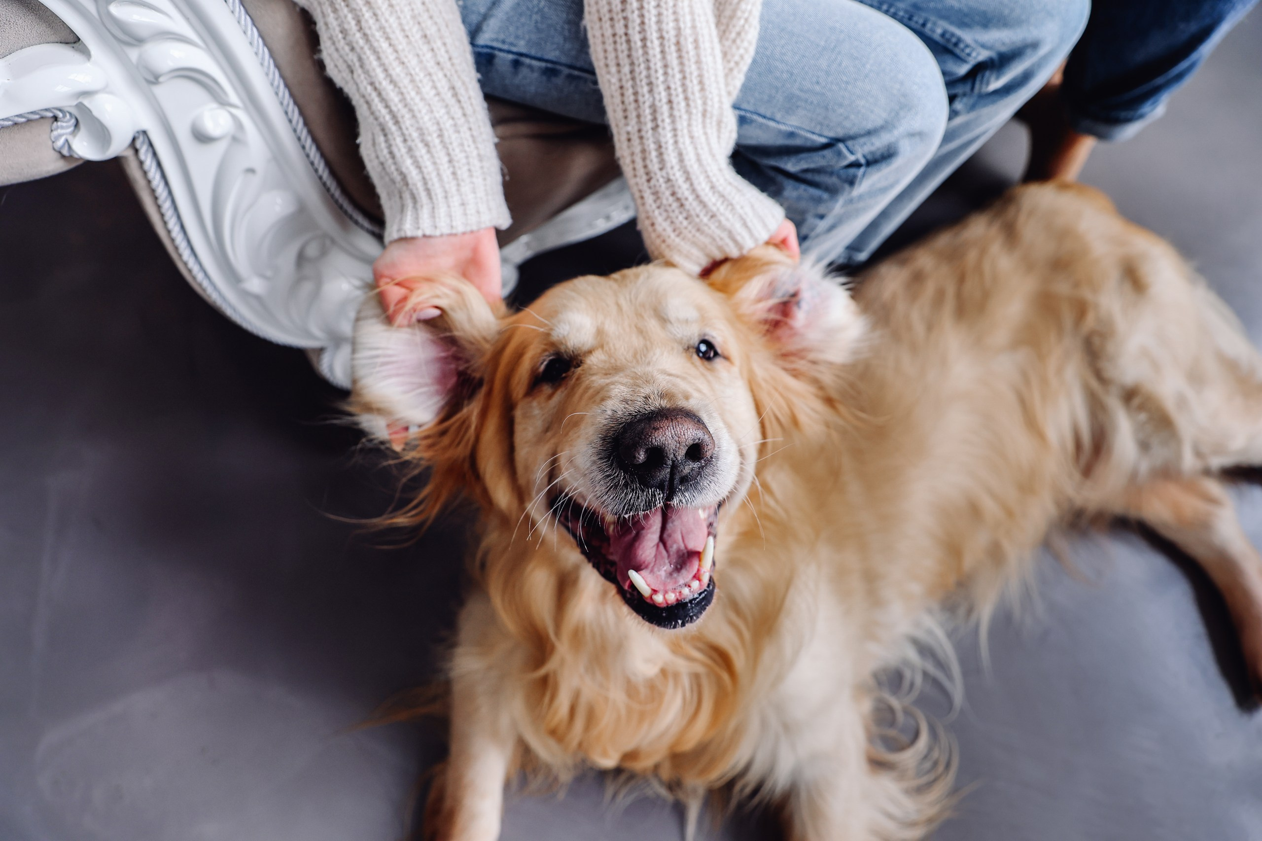 Новогодние фотосессии. Марина Соколова. Контентный и семейный фотограф г. Красноярск