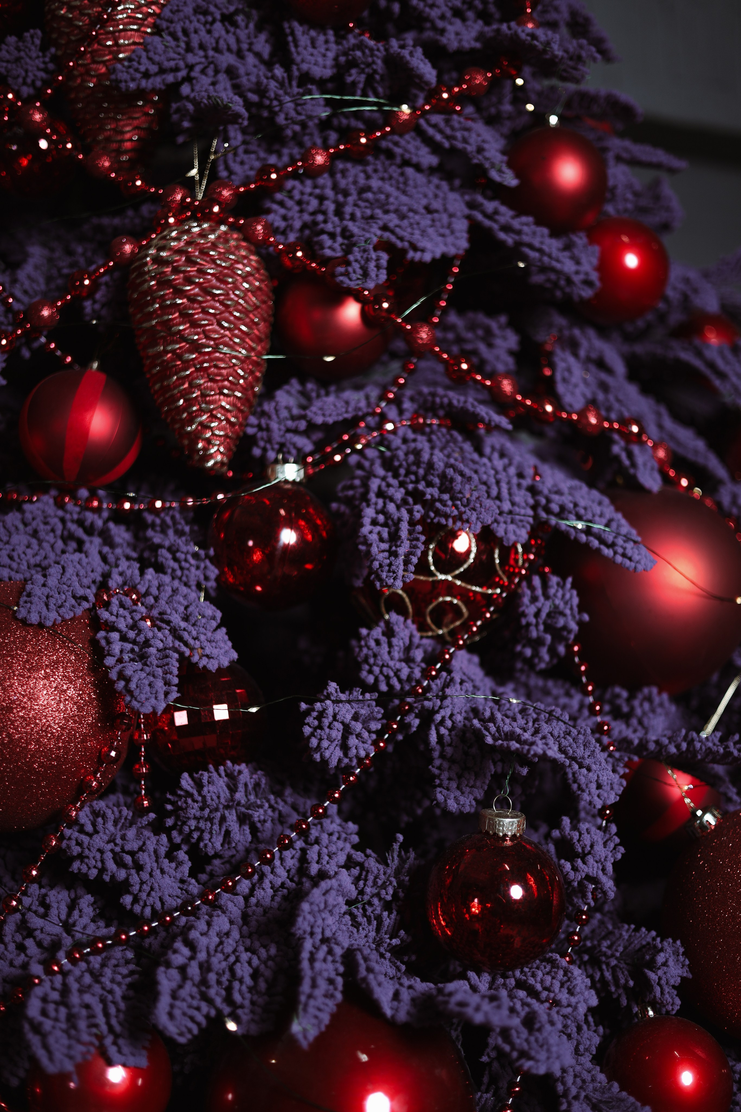 Семейная съемка Yulia. Photographer Tatiana Ivanova in Yaroslavl