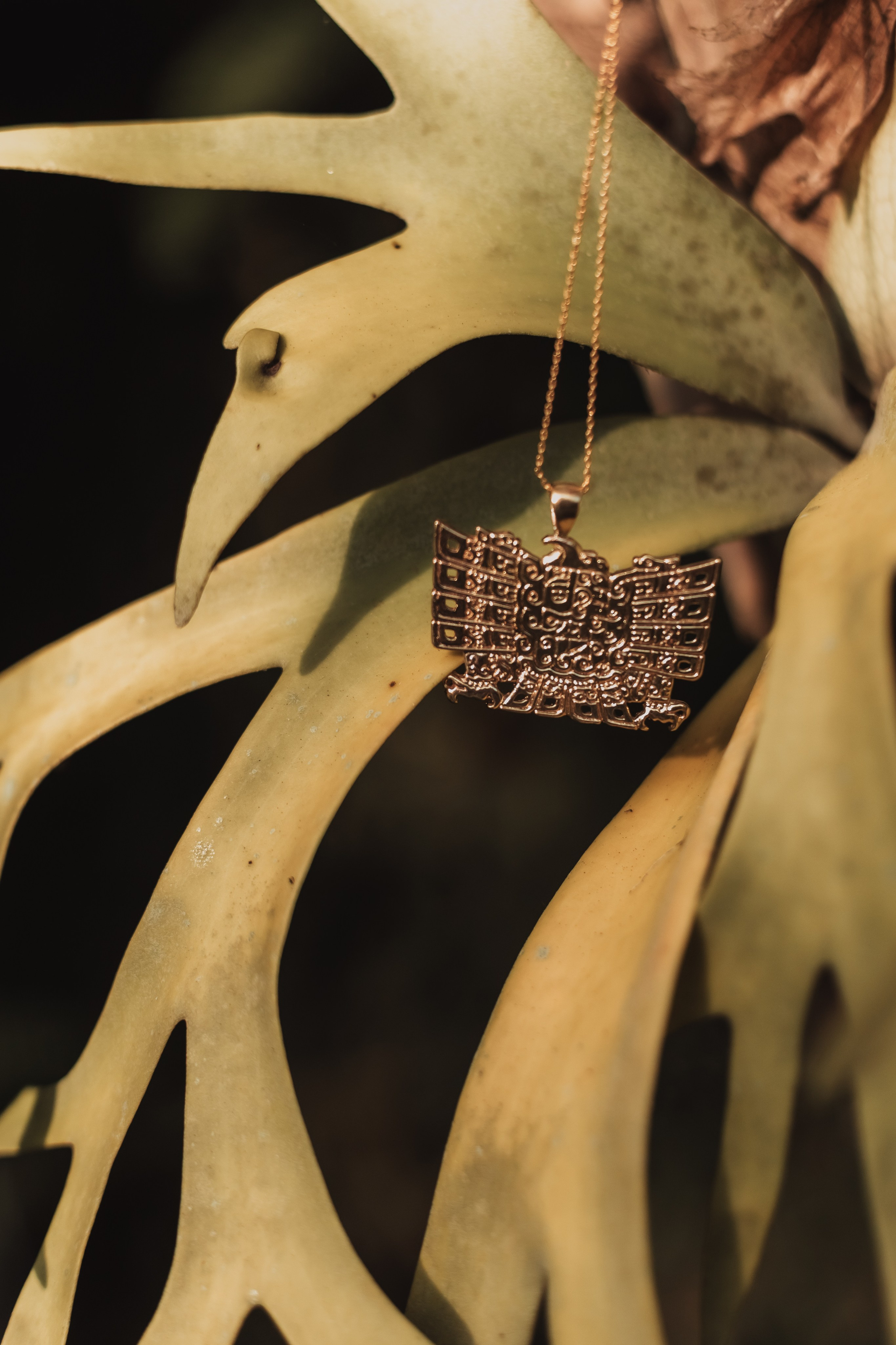 Pao and her collection. Mariam Bagdasaryan