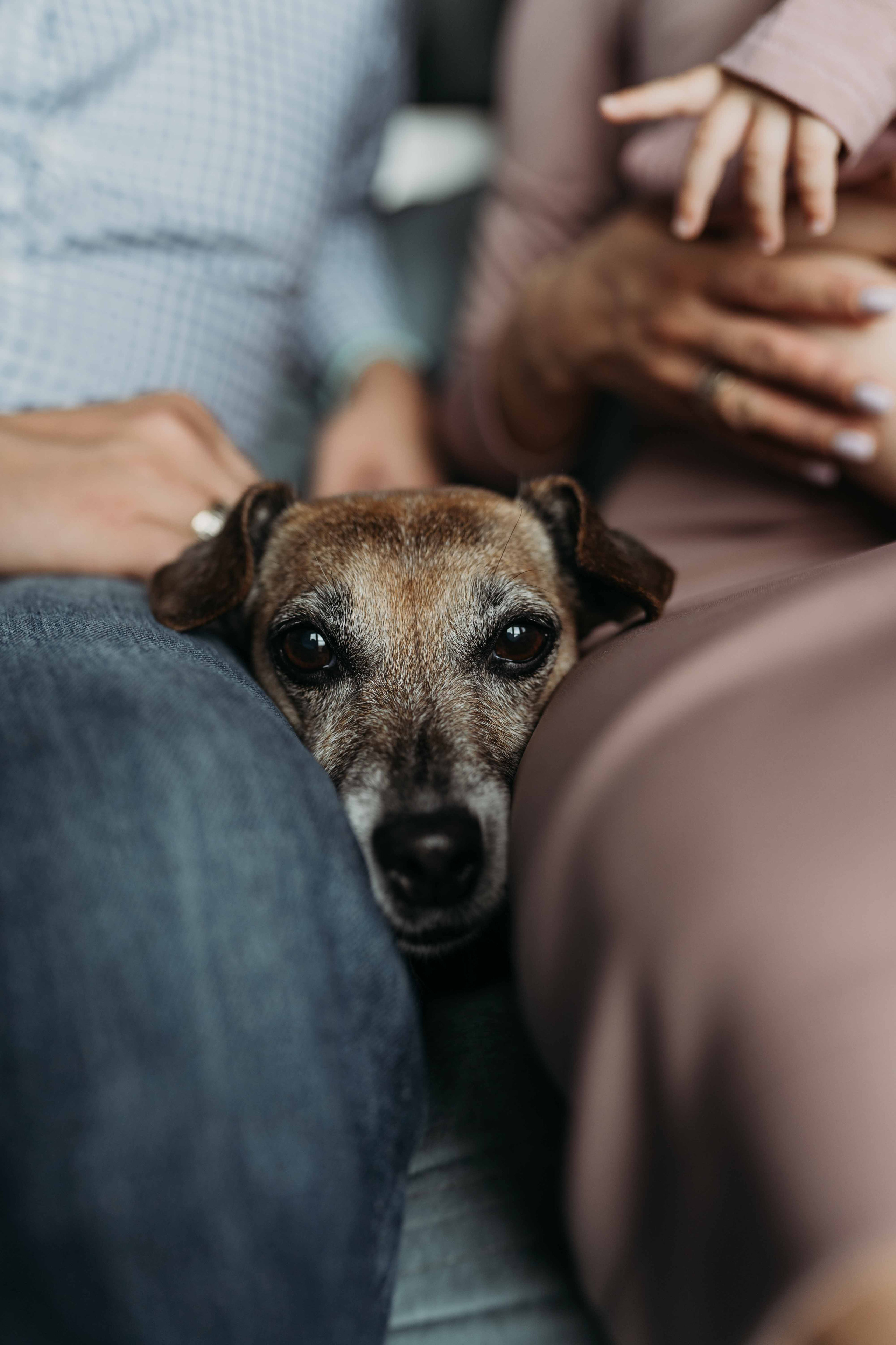 Катя, Илья и малышка Агата. Семейный и контент фотограф в Москве и Троицке Горелова Лизавета