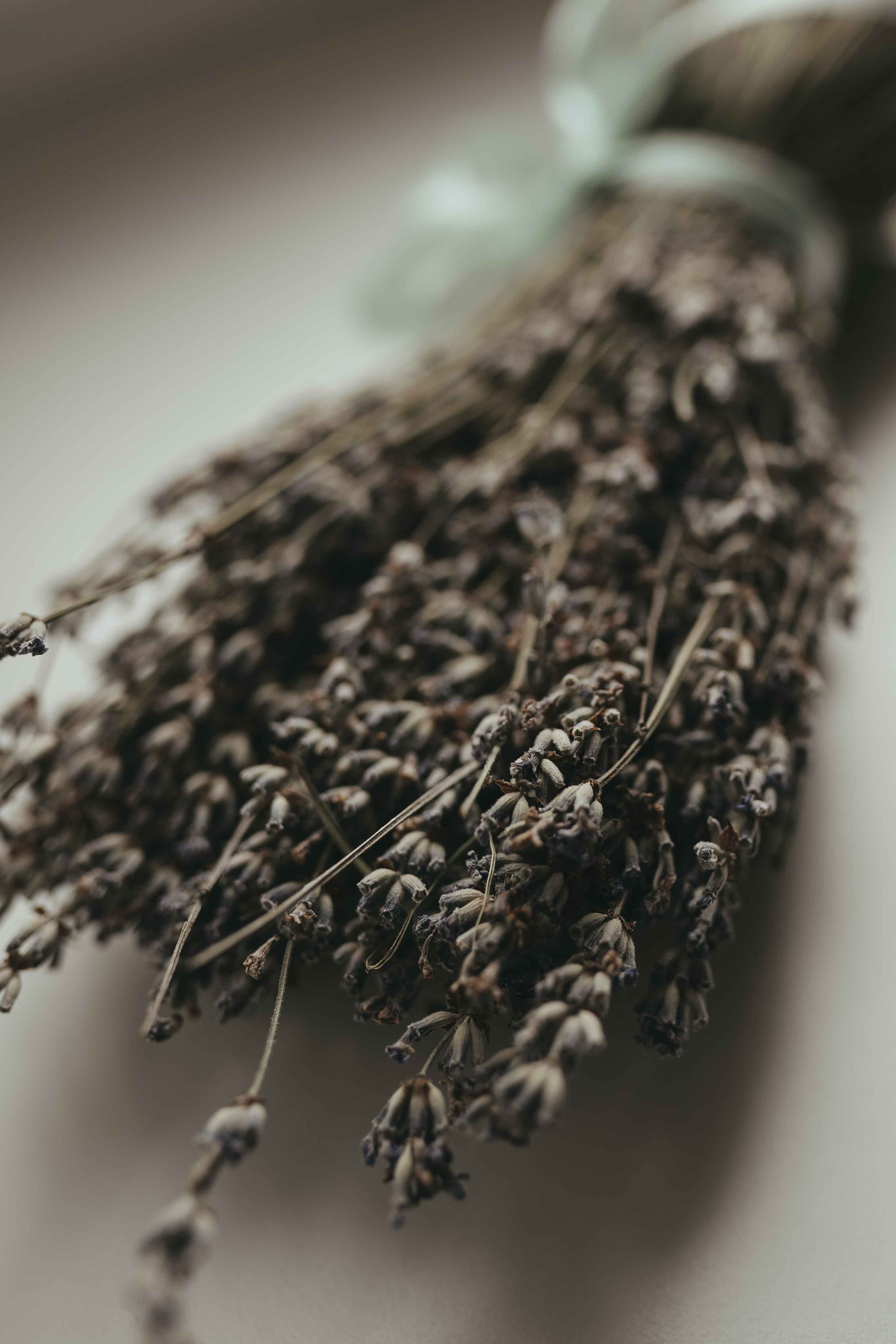 Съедобные букеты. Семейный и контент фотограф в Москве и Троицке Горелова Лизавета