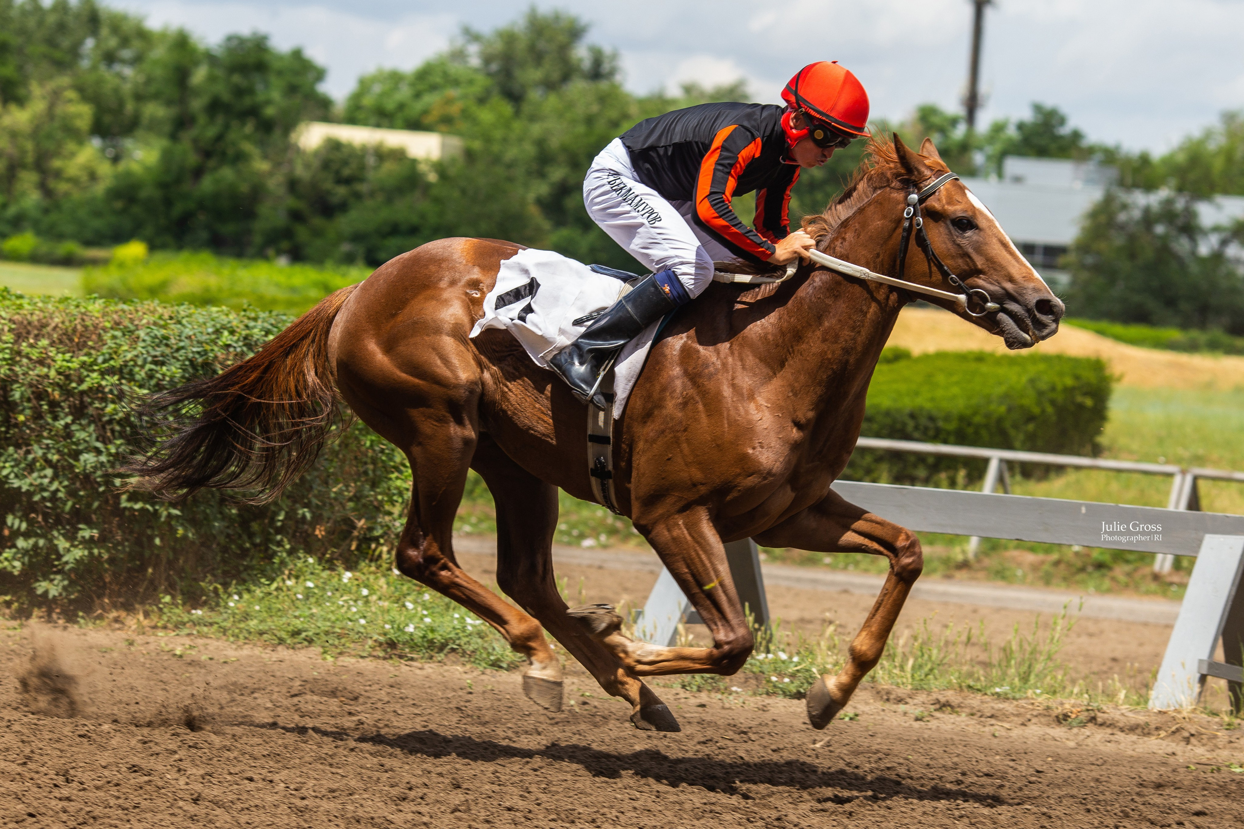 Скачки. Фотосессии Ростов-на-Дону, Новочеркасск Юлия Гросс