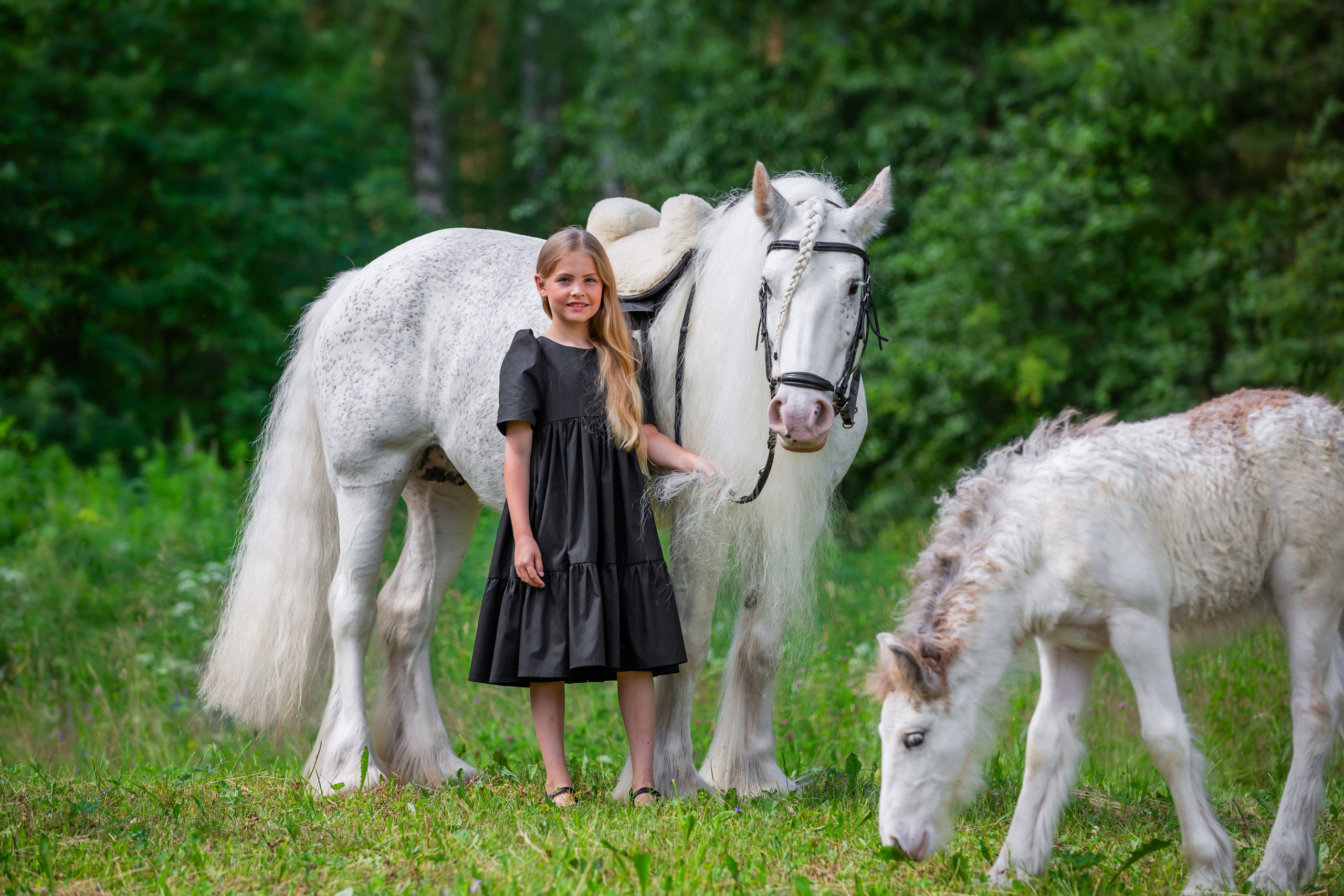 Фотосессия с лошадью. Фотограф Анималист Наталья Корс Екатеринбург