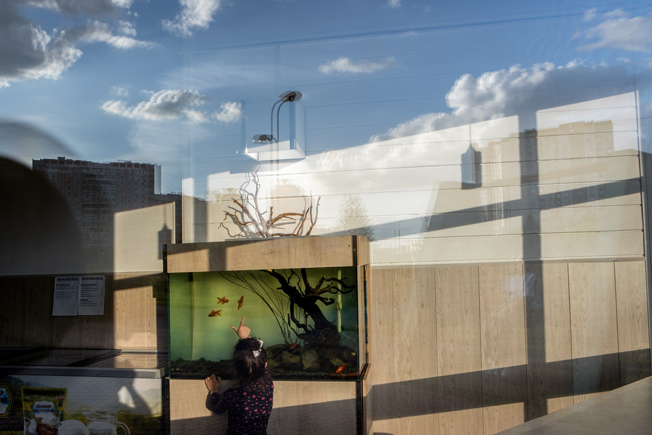 Симуляторы (Каталог № 3). Главная