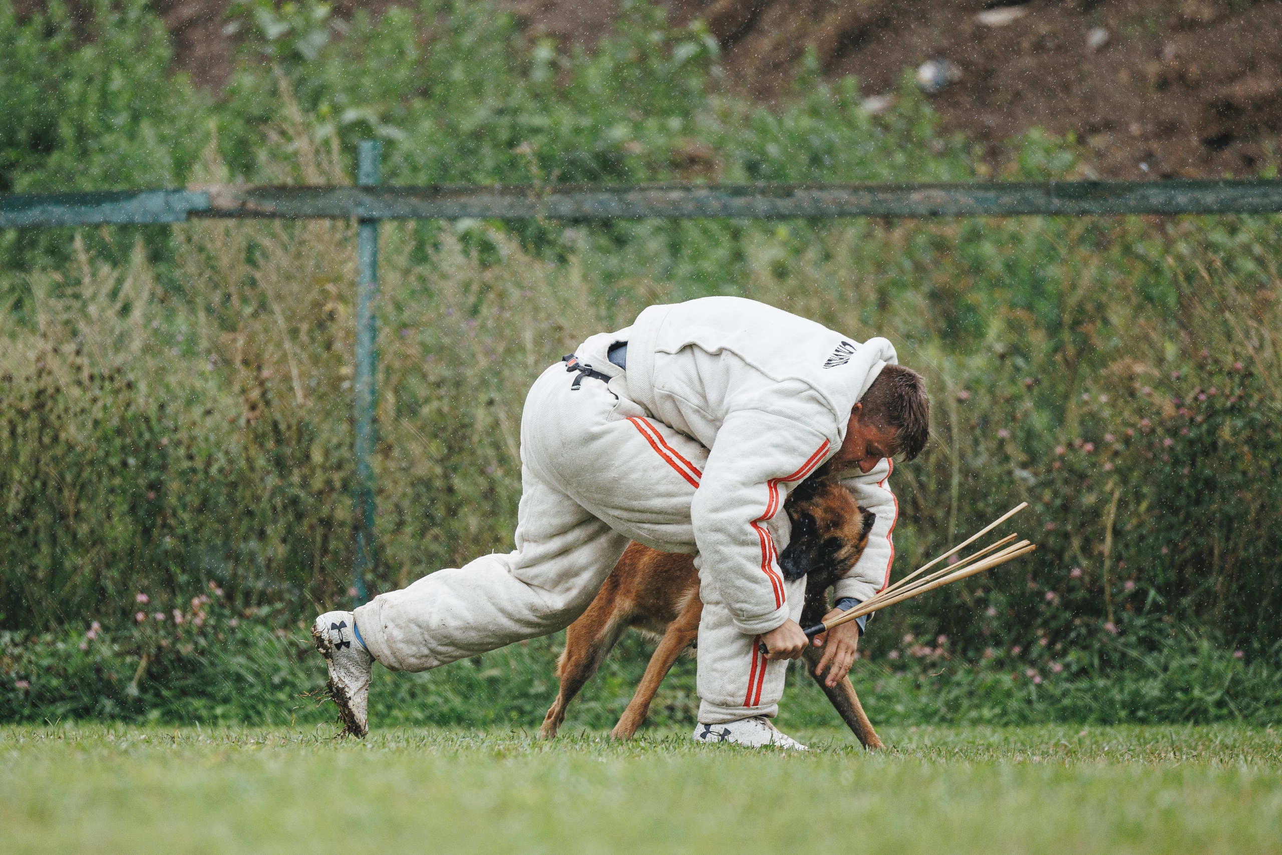 08.08.25-10.08.25 ЧР по мондьорингу г. Вологда. Фотограф-анималист Анна Маринич