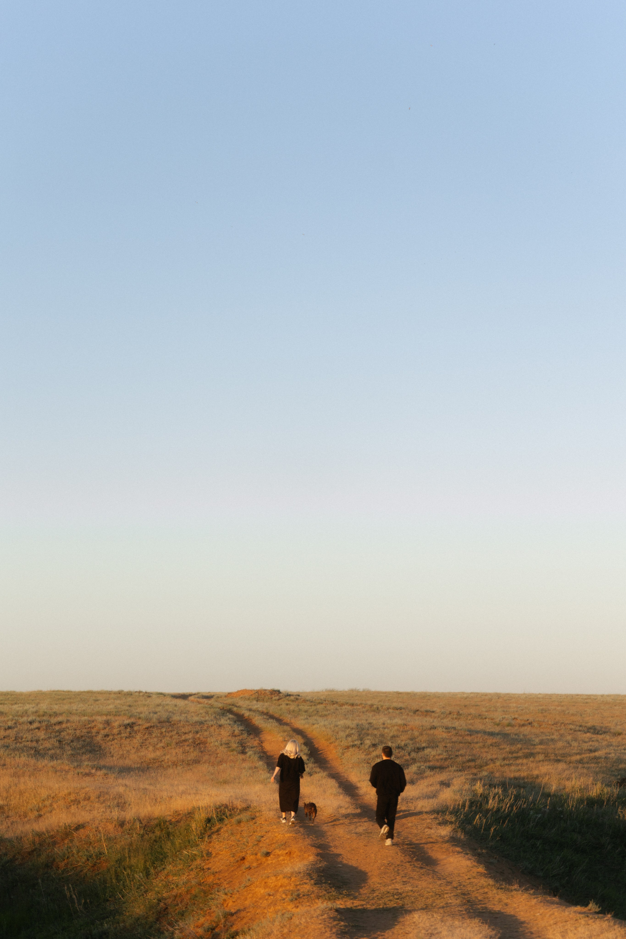 Ласточки. Свадебный и семейный фотограф Юлия Сафронова