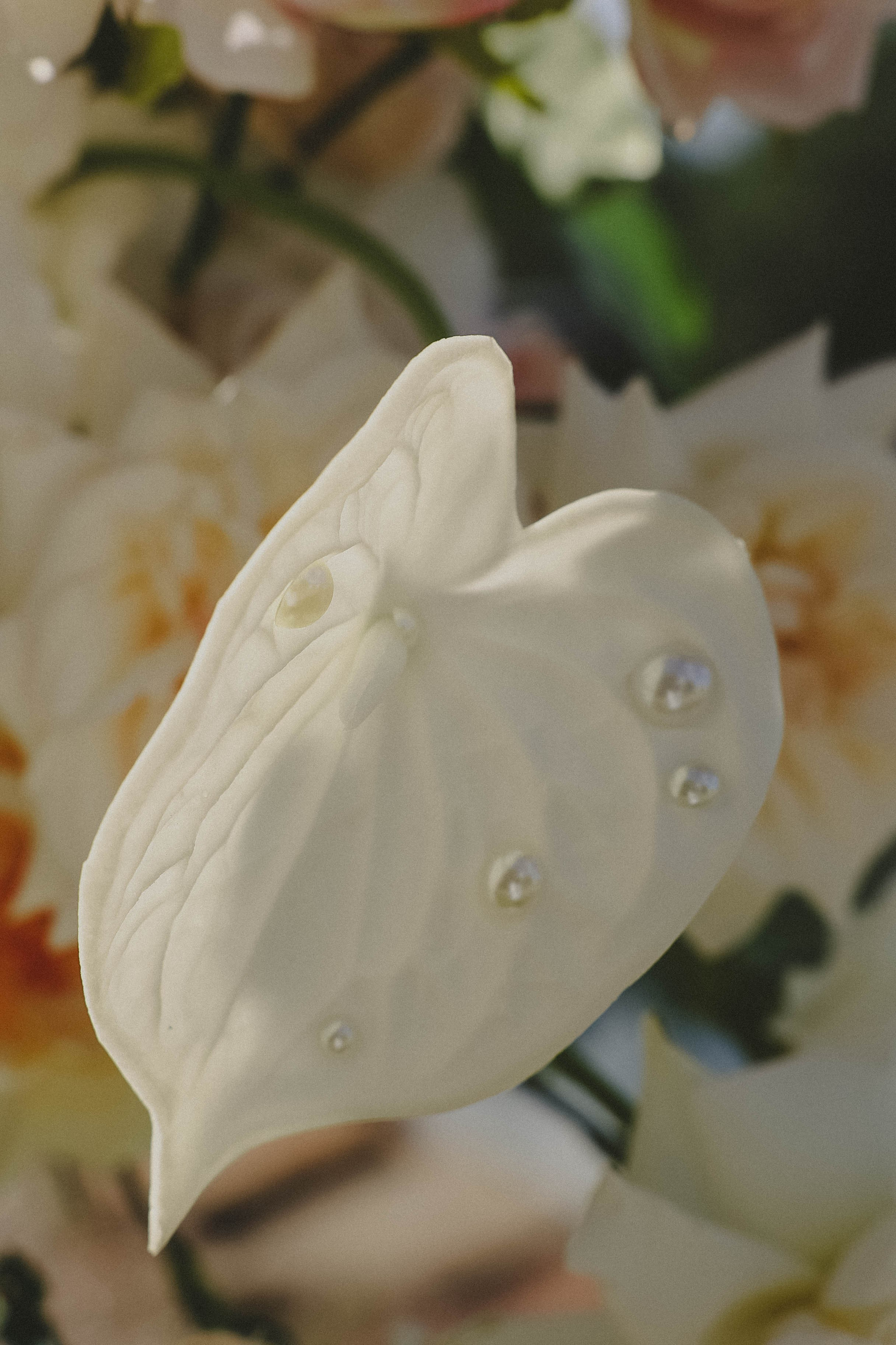 Анастасия и Владимир. Свадебный, репортажный, фотограф Москва и Московская область