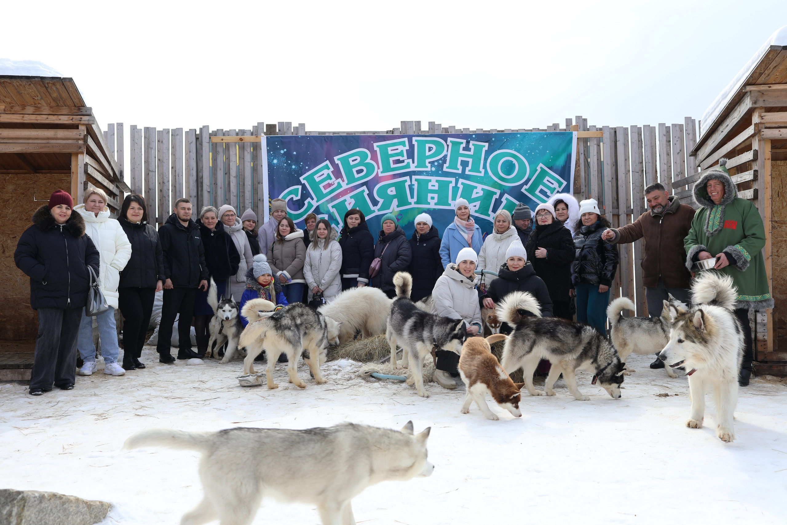 Наши партнеры. Иволга74