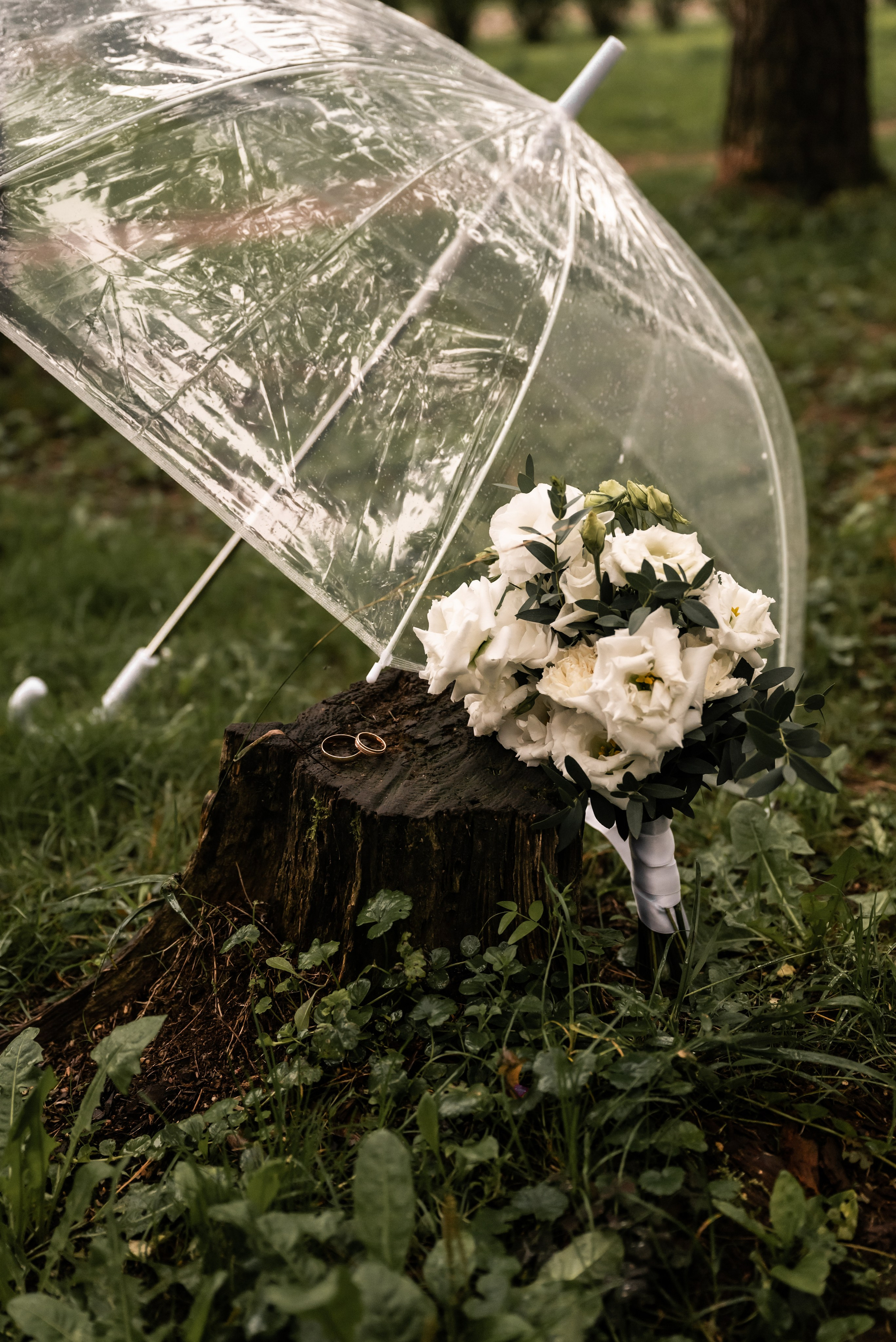 Фотограф Ксения Огородова портфолио