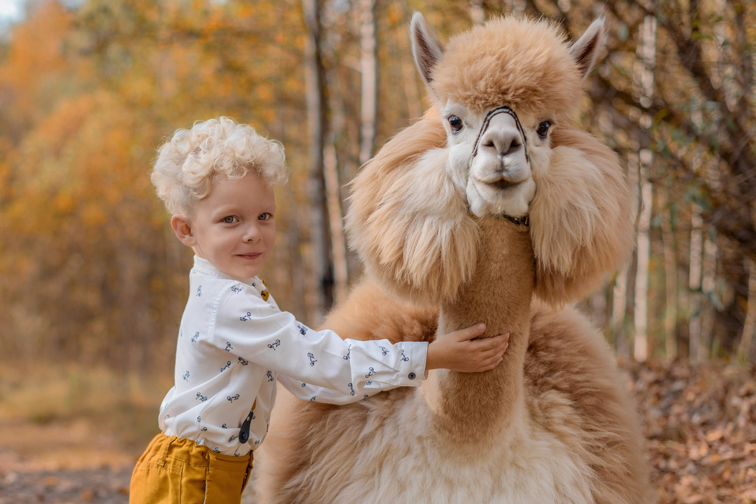 Платон и Мирон. Юлия Лебедева — женский и семейный фотограф в Москве