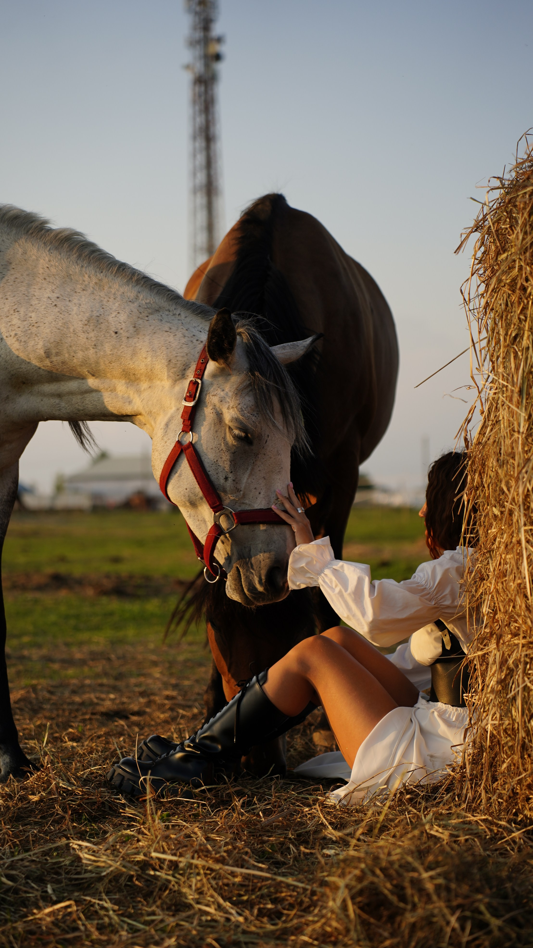 С лошадьми. Главная