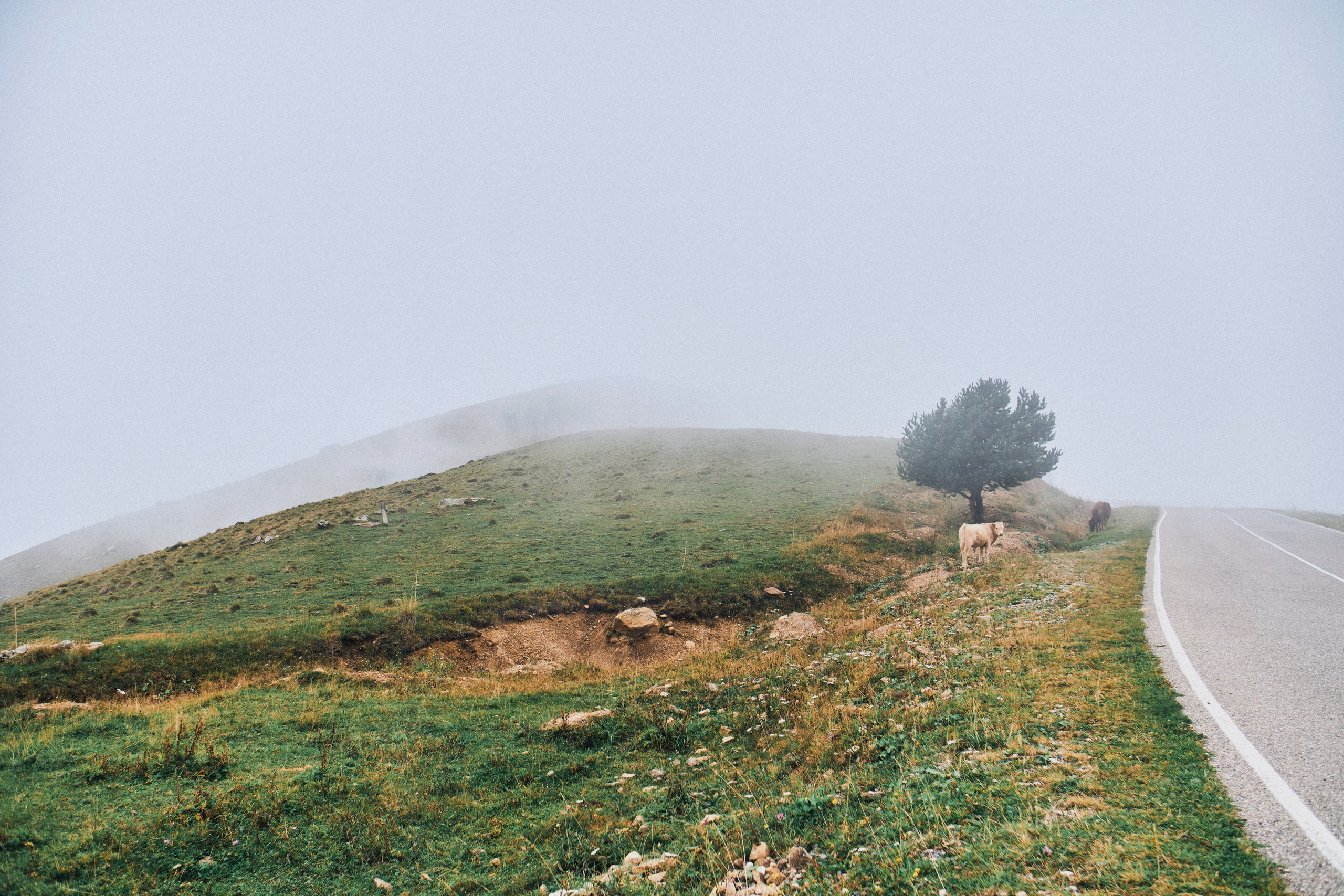 Kavkaz. SHILOVA PHOTO. Шилова Екатерина. Фотограф. Москва