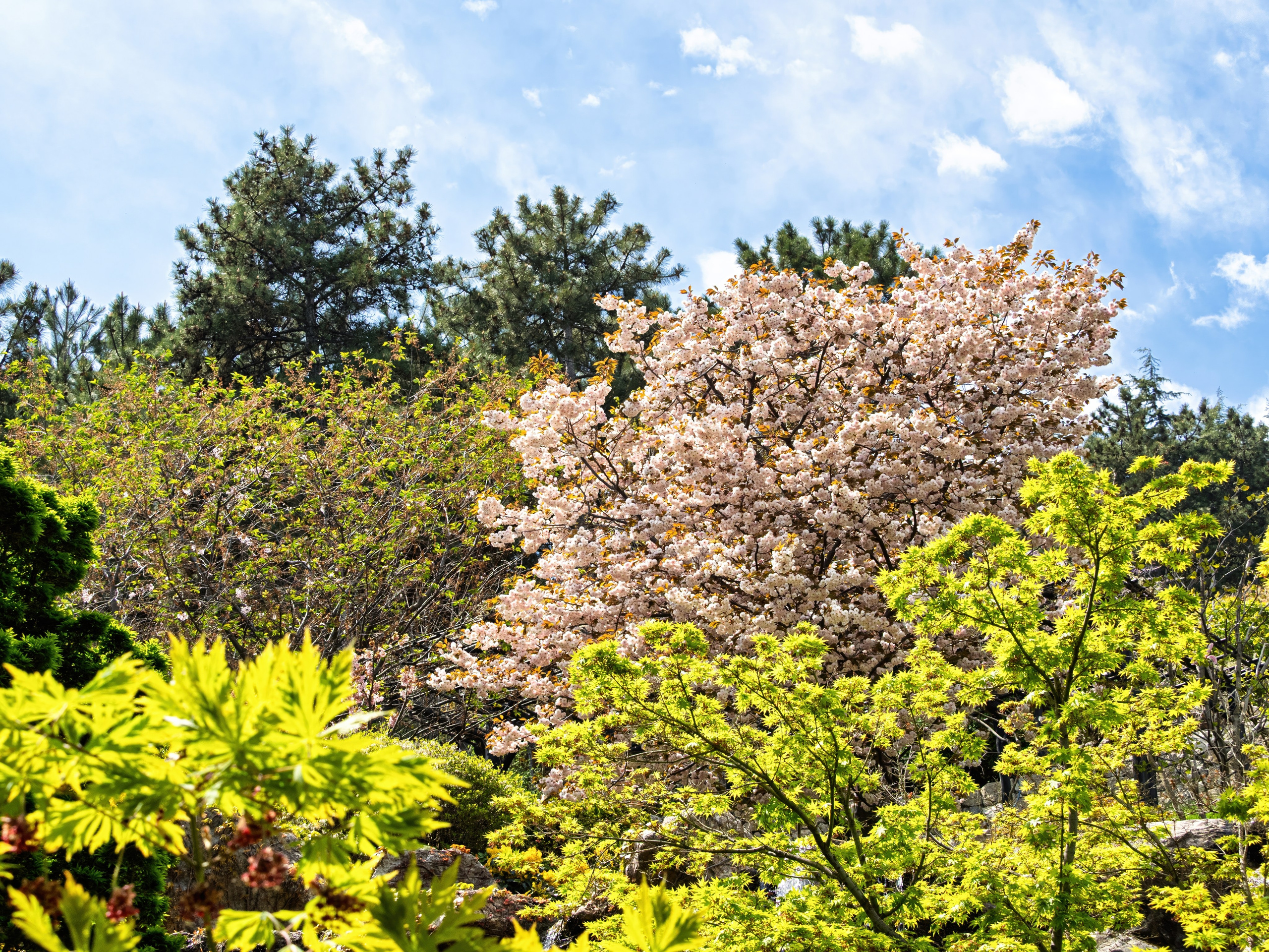 Крым, Утес, 2021 год. Фотограф Никифоров-Гордеев Сергей. Москва и МО