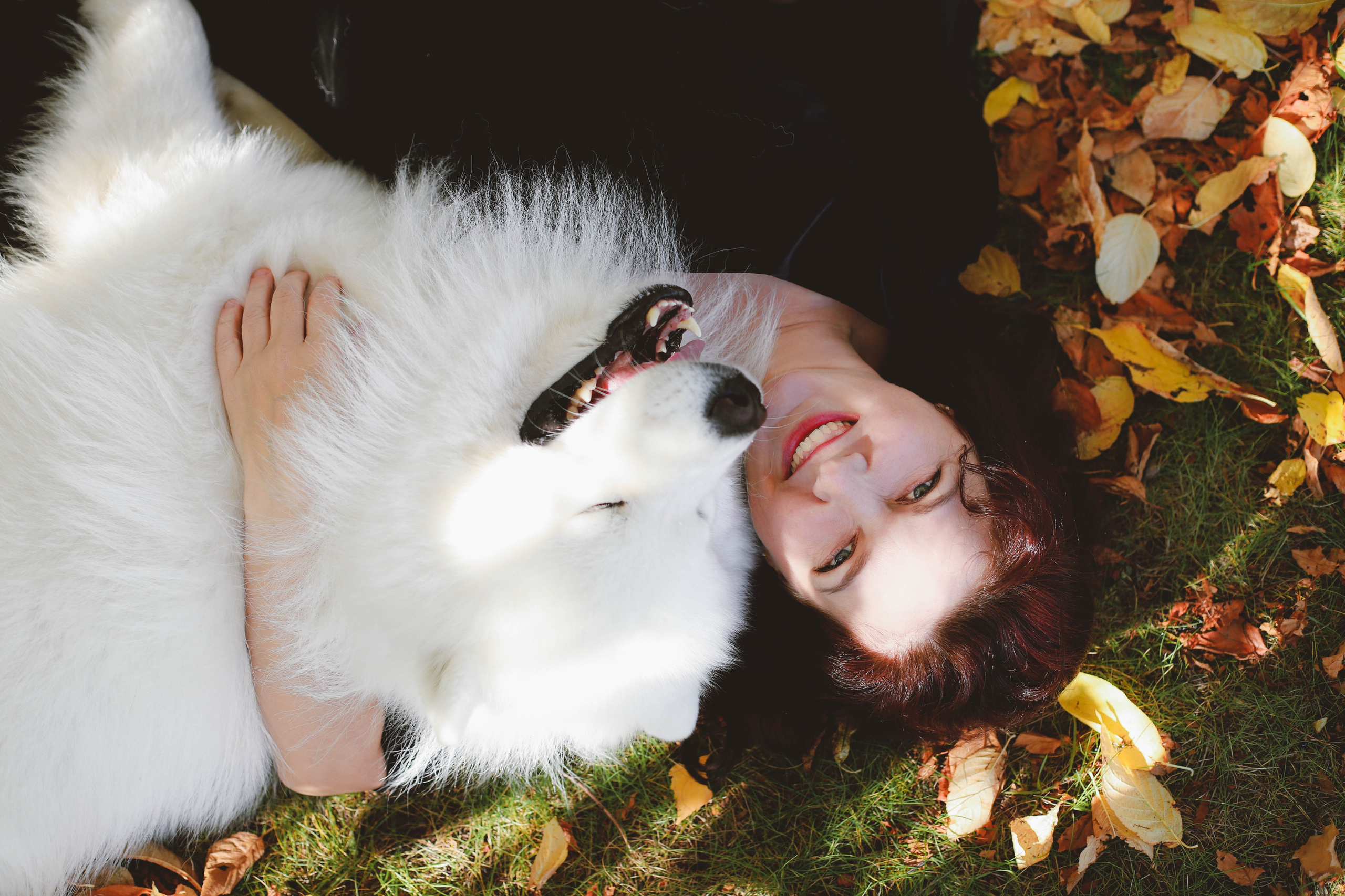 Девушка с собакой. Фотограф в Сургуте Брызгунова Анастасия