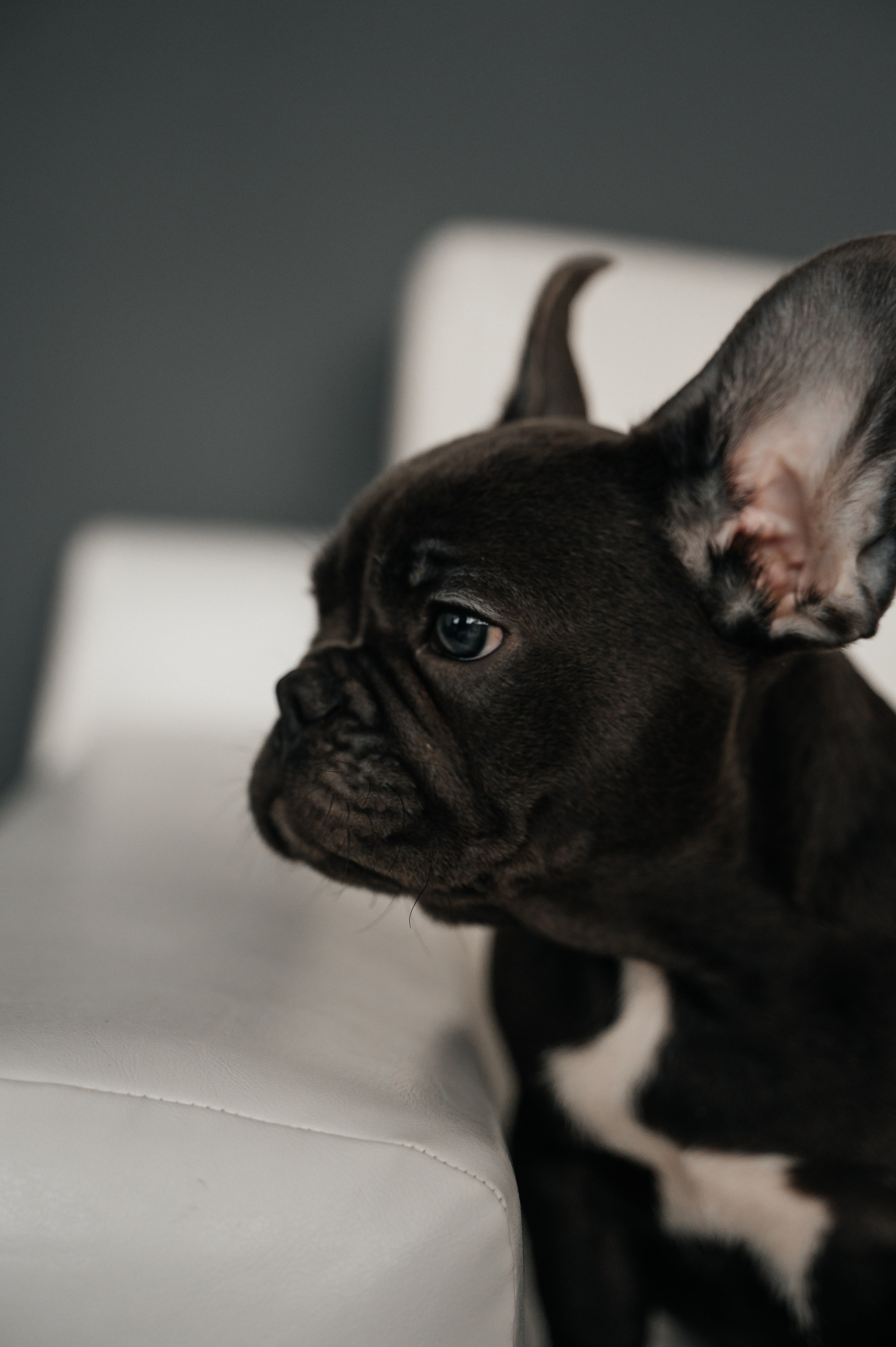 Юля и Гранд. Свадебный и семейный фотограф в городе Смоленске