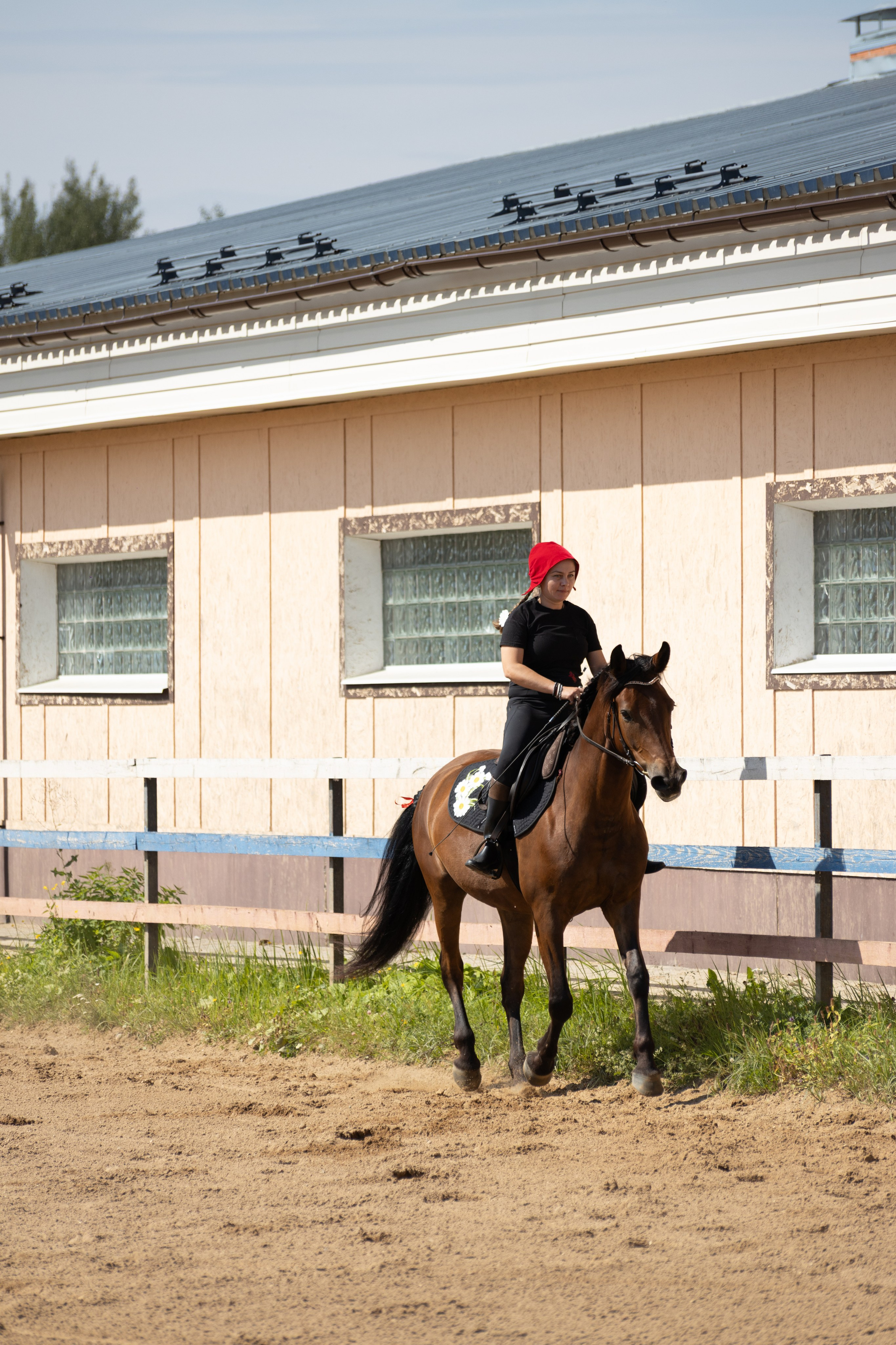 Конюшня. Фотограф в Москве и Истре