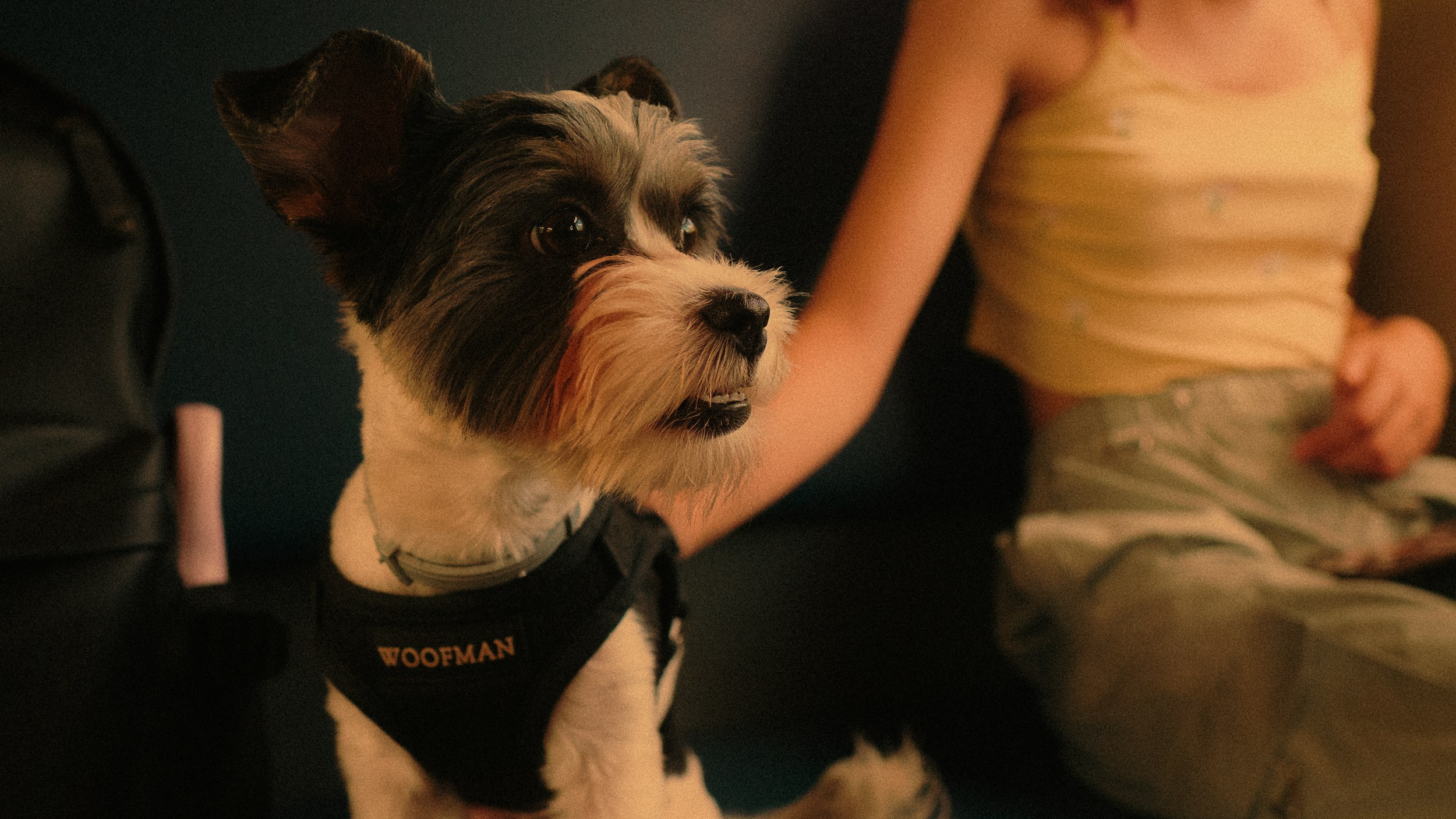 Дача '24. Фёдор Малюгин. Ваш бади в визуале